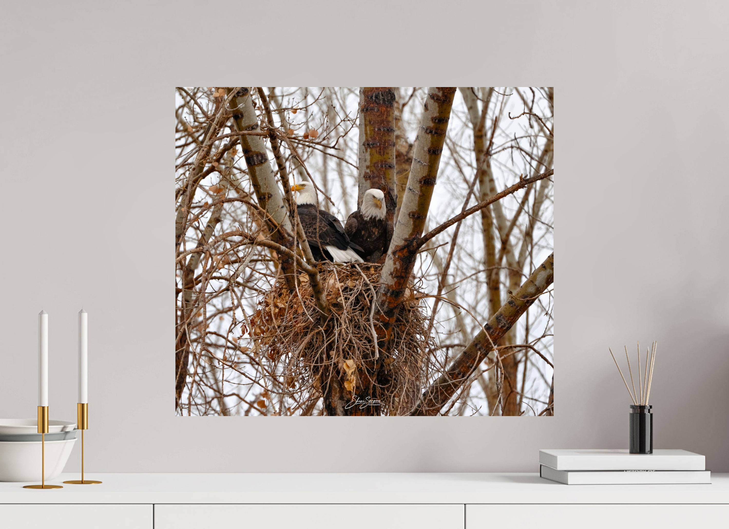 23 x 20″, Metal Eagles in the nest