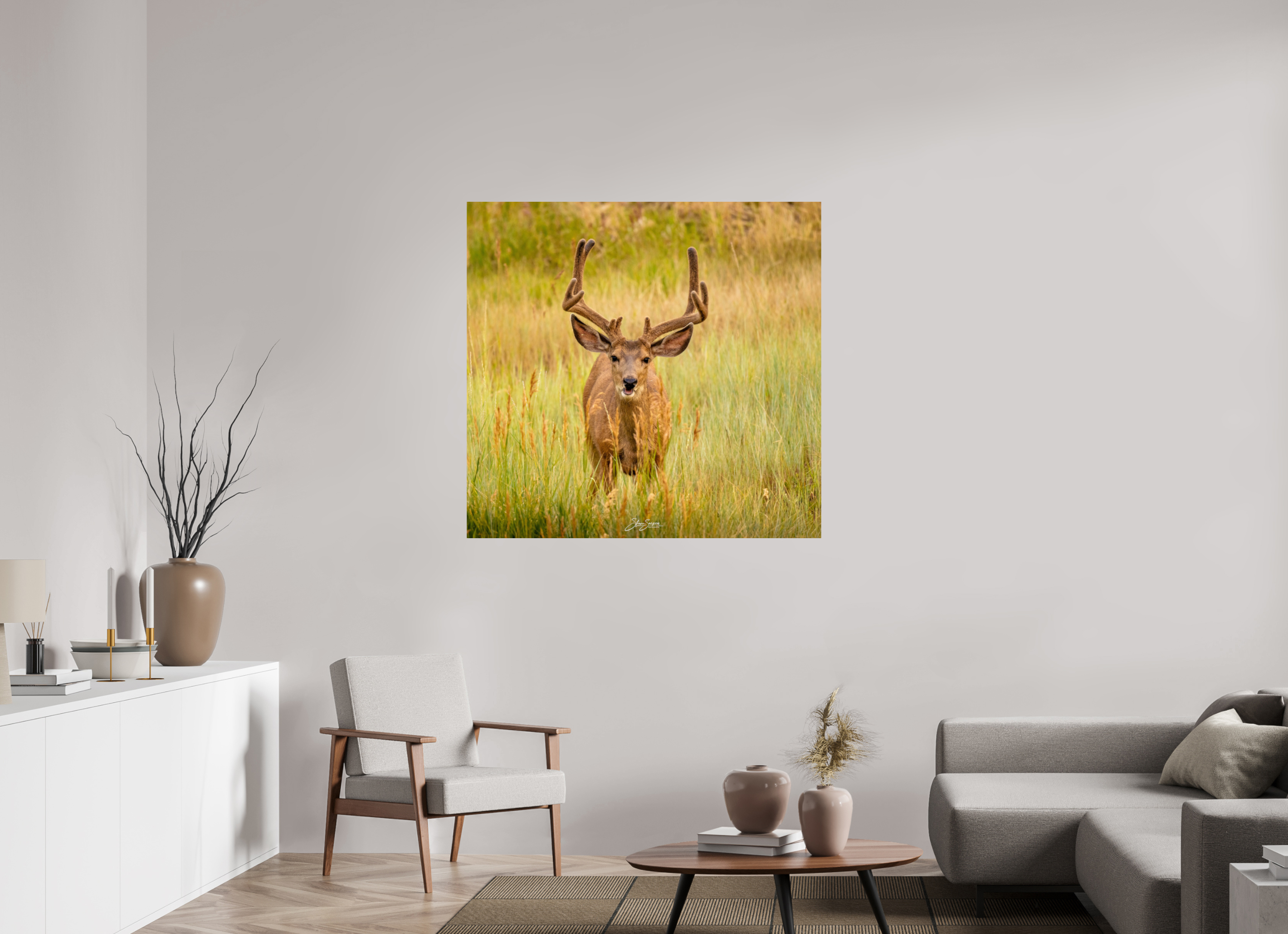 45.3 x 43″, Photo Print On Fuji Crystal DP II Deer