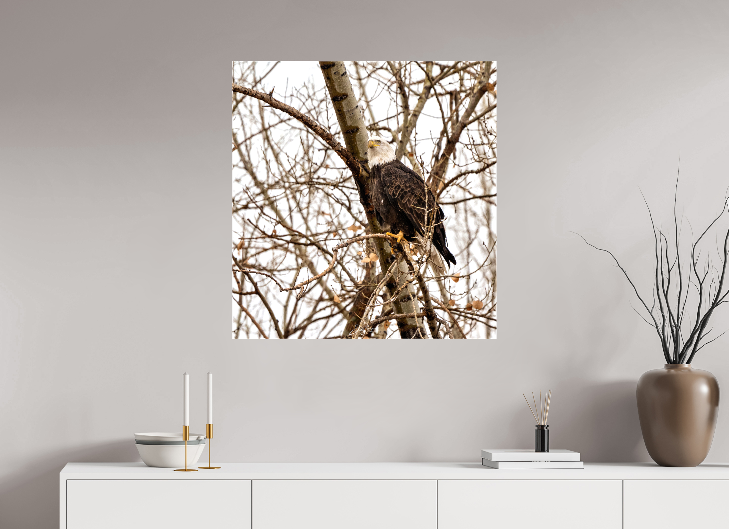 31 x 32.6″, Canvas Eagle