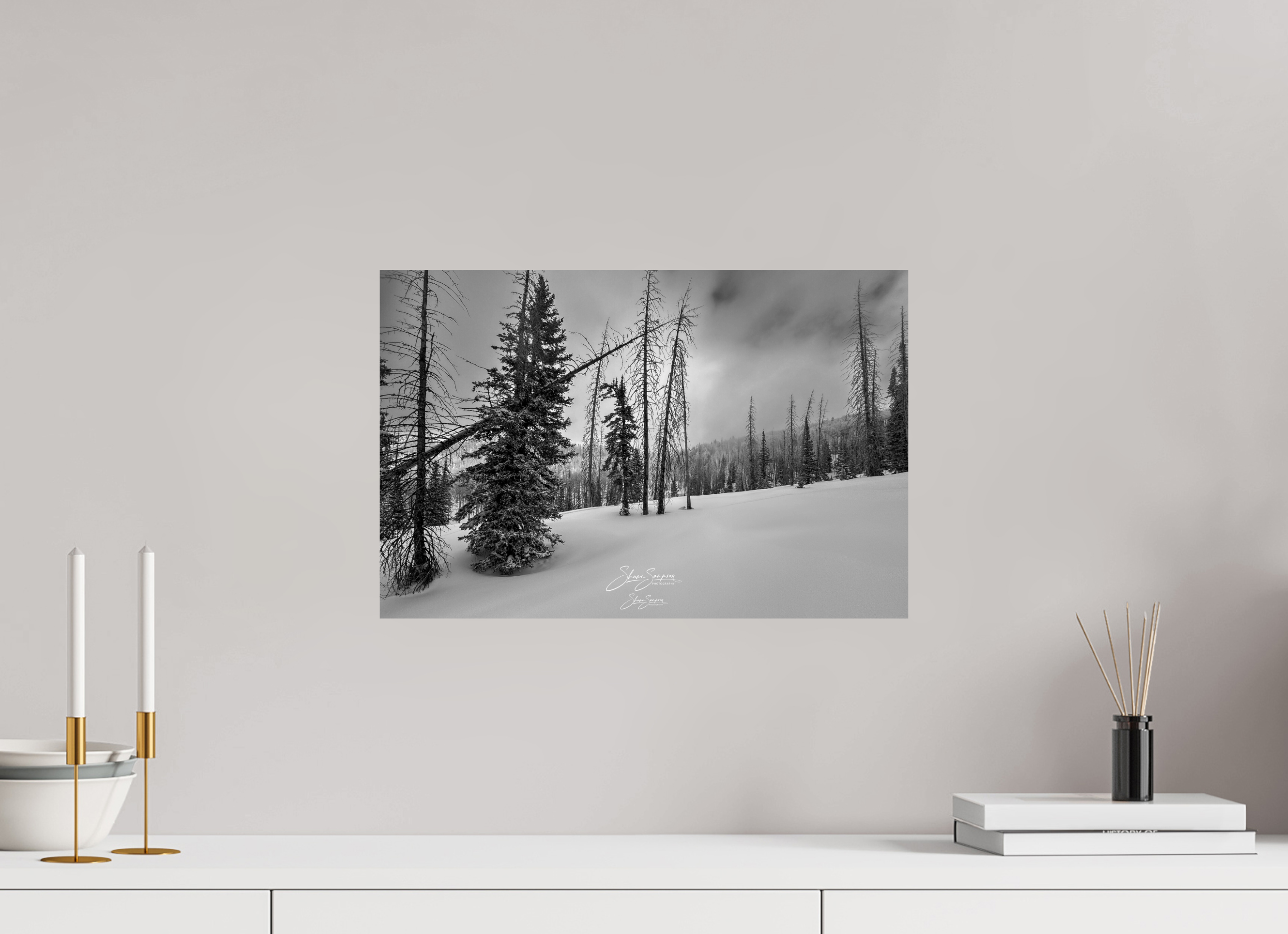 18.2 x 12″, Metal winter bw