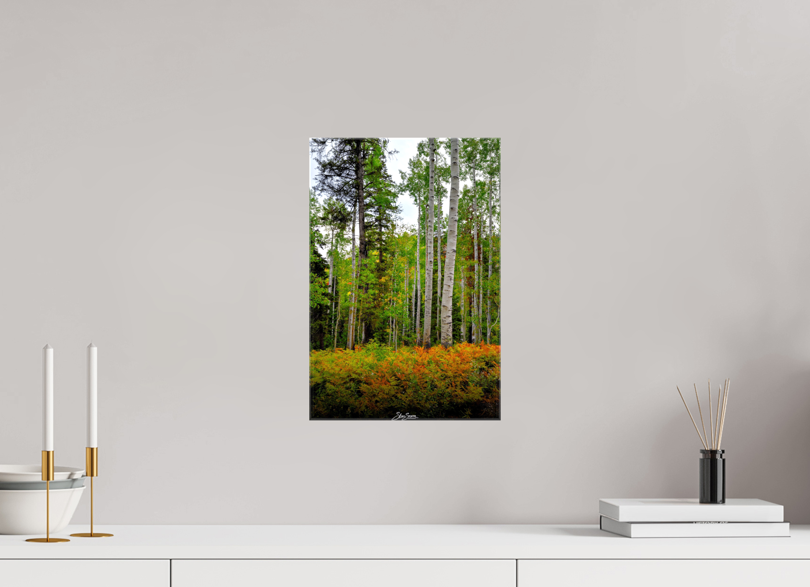 10 x 15″, Canvas aspen