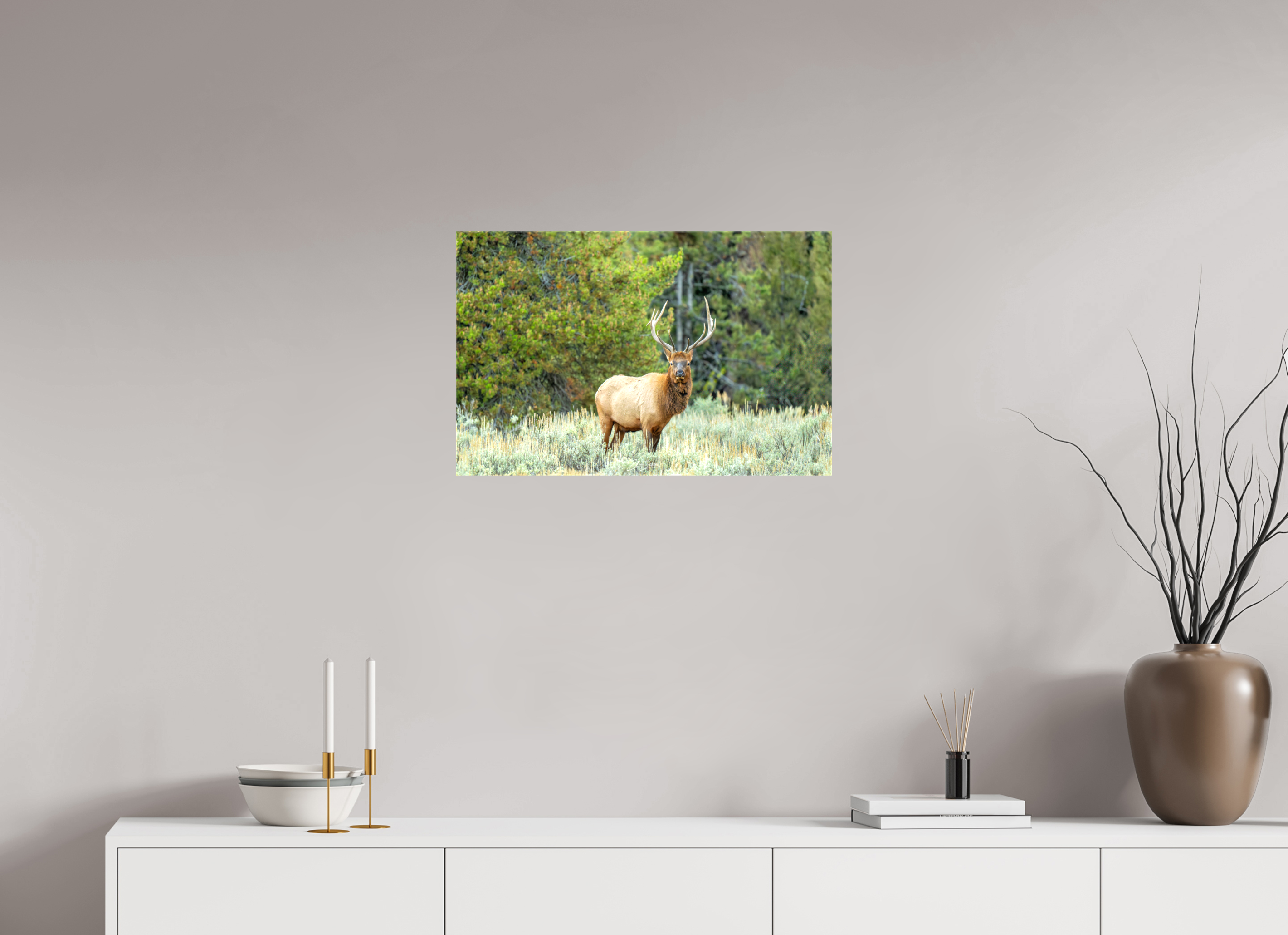 24.9 x 16″, Canvas Elk