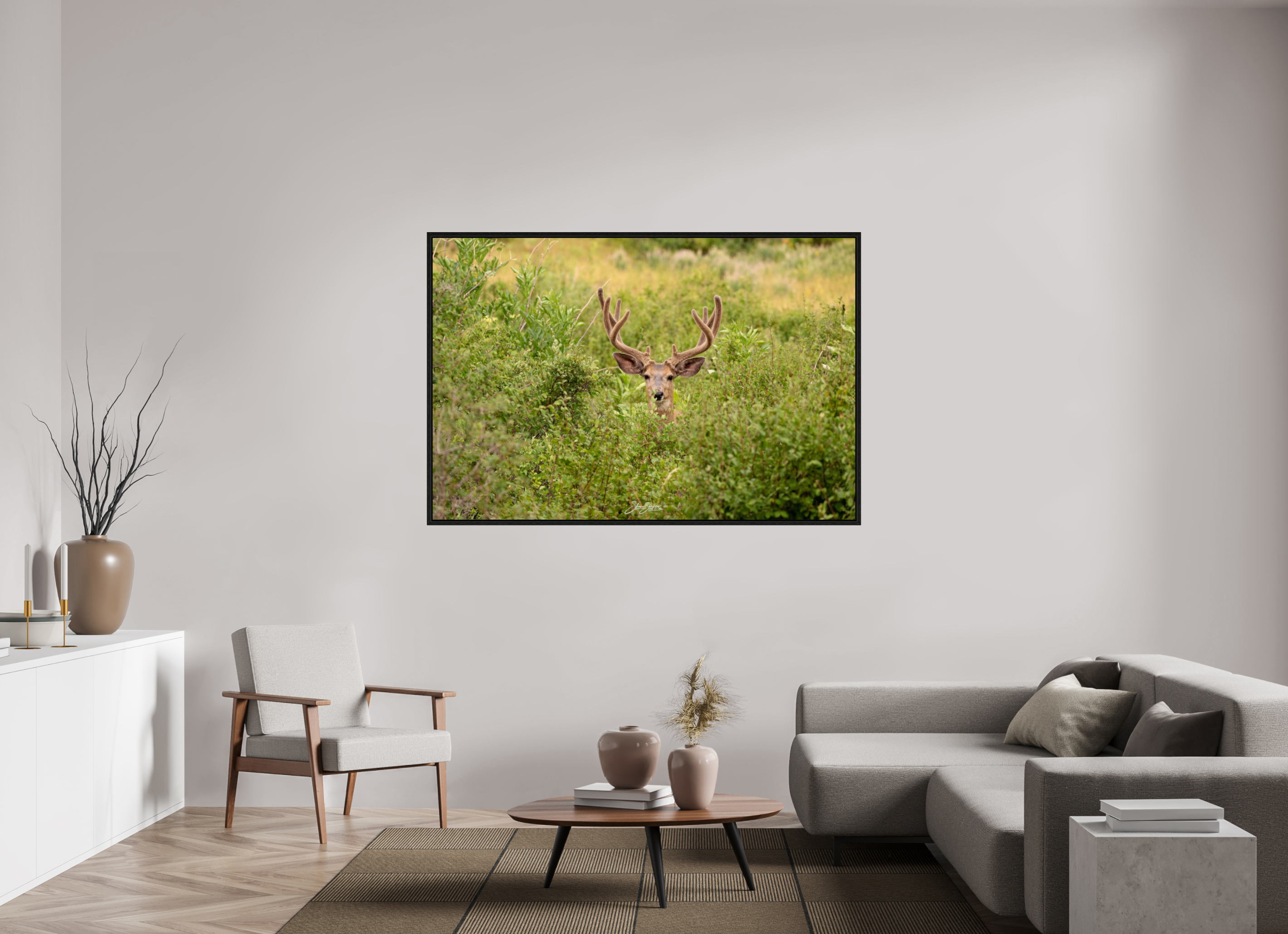 66 x 44″, Floater Frame Deer