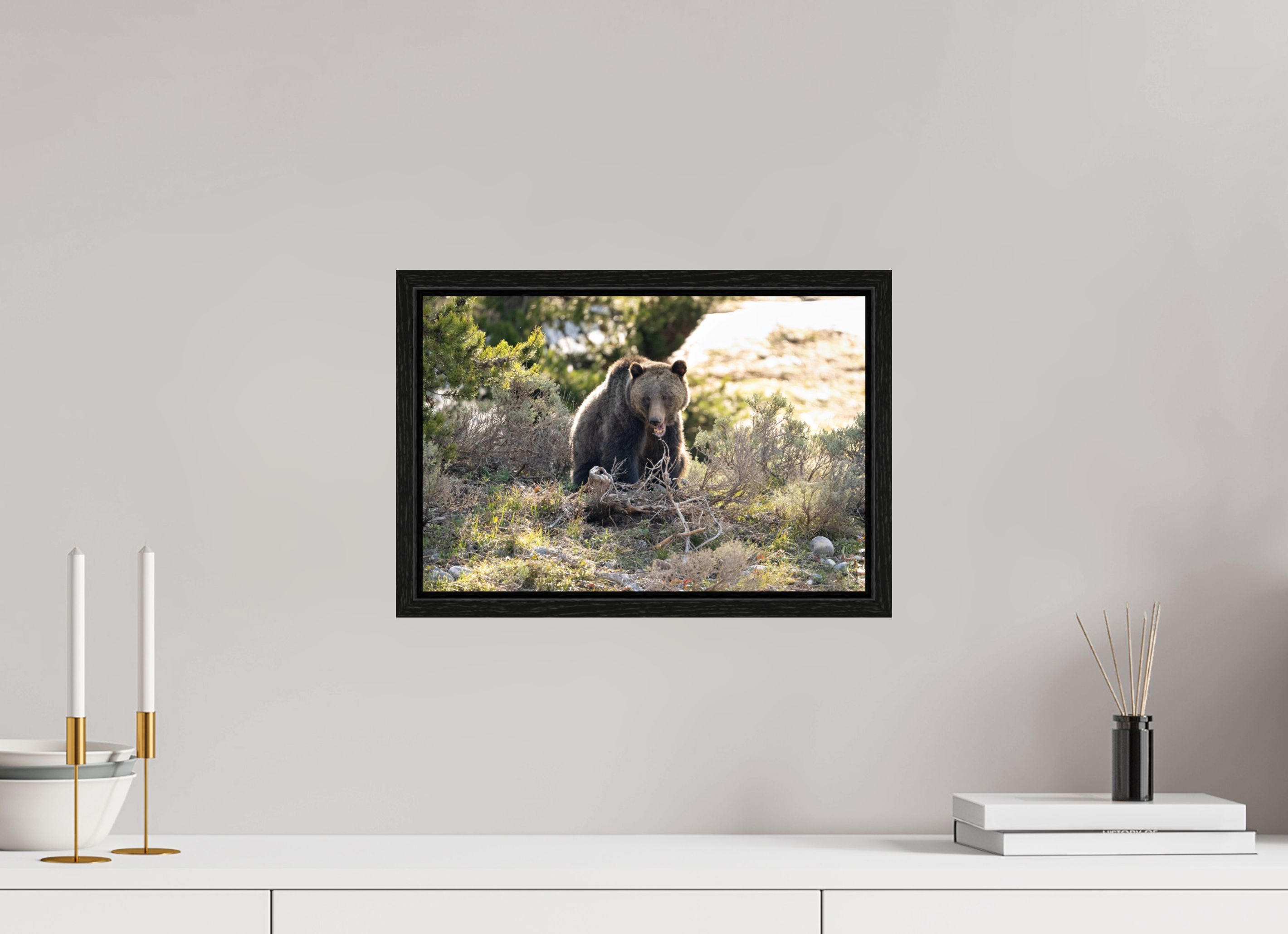 15 x 10″, Floater Frame 1063