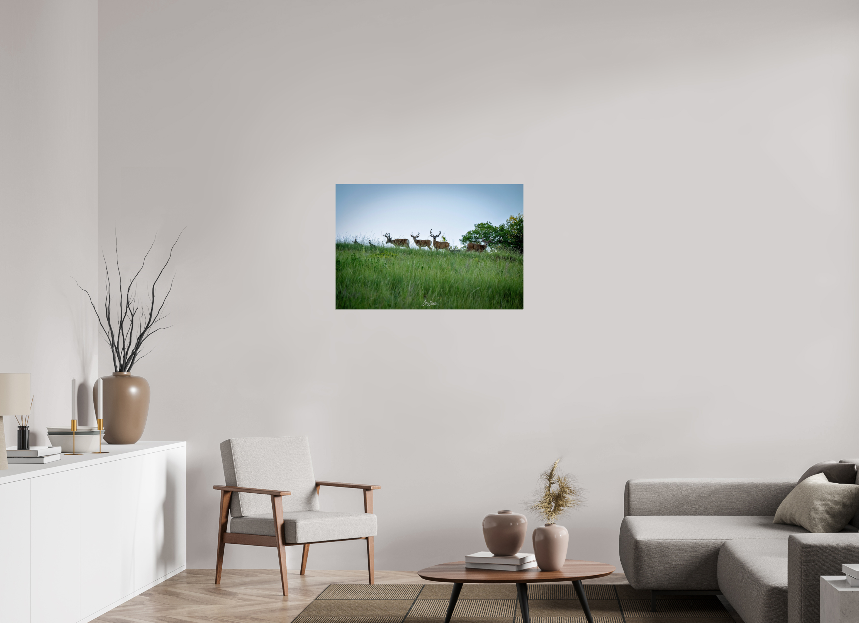36 x 24″, Photo Print On Fuji Crystal DP II Deer