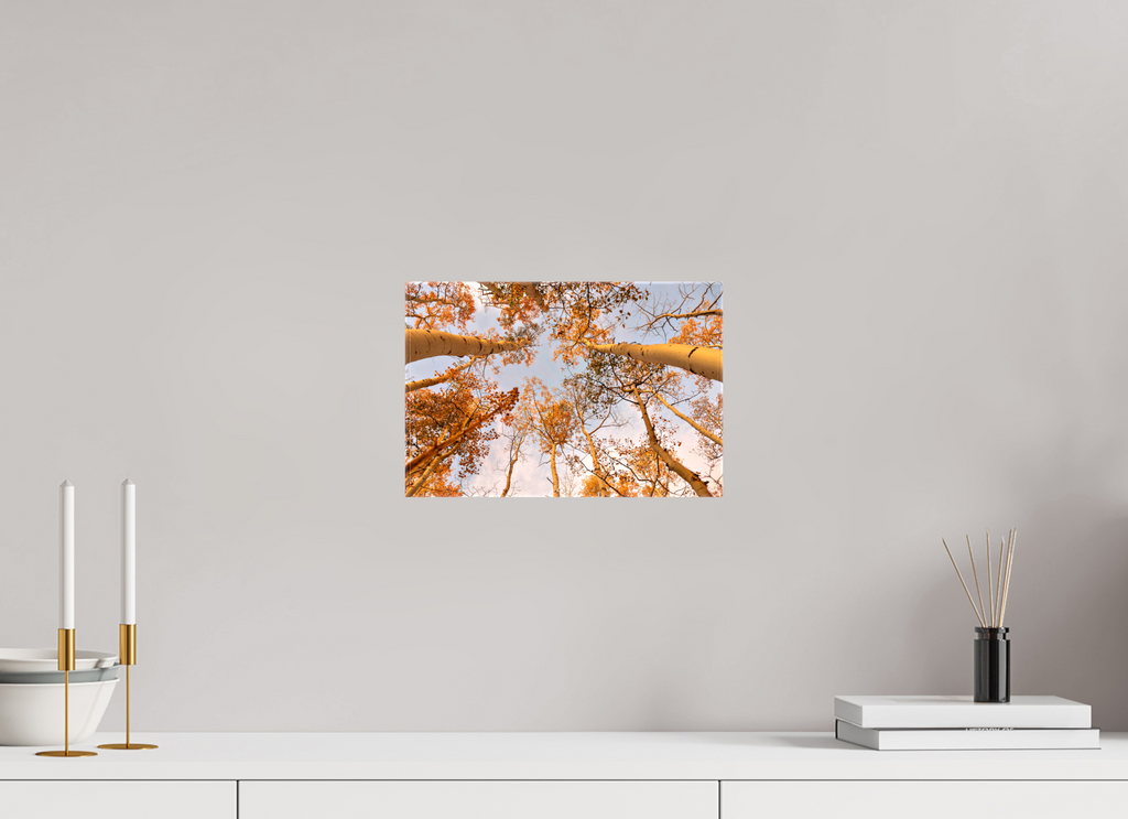12 x 8″, Canvas aspen