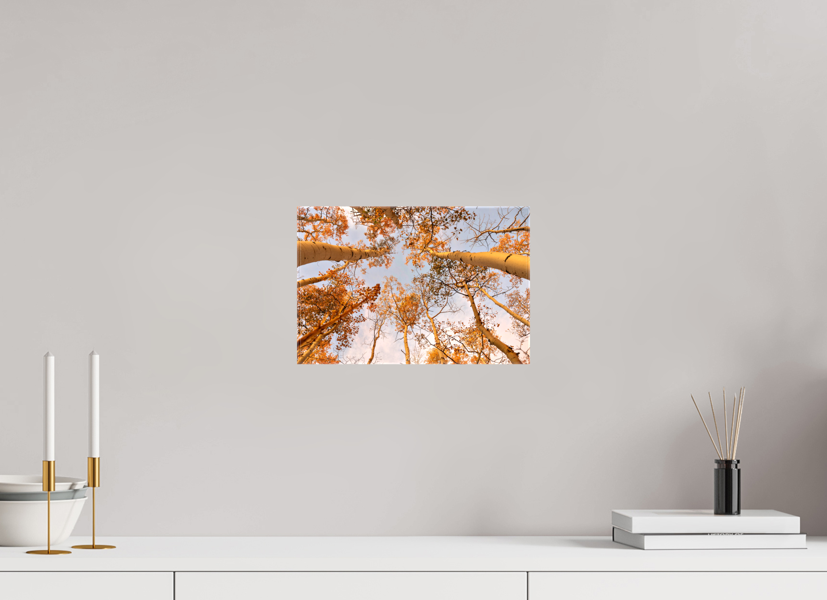 12 x 8″, Canvas aspen