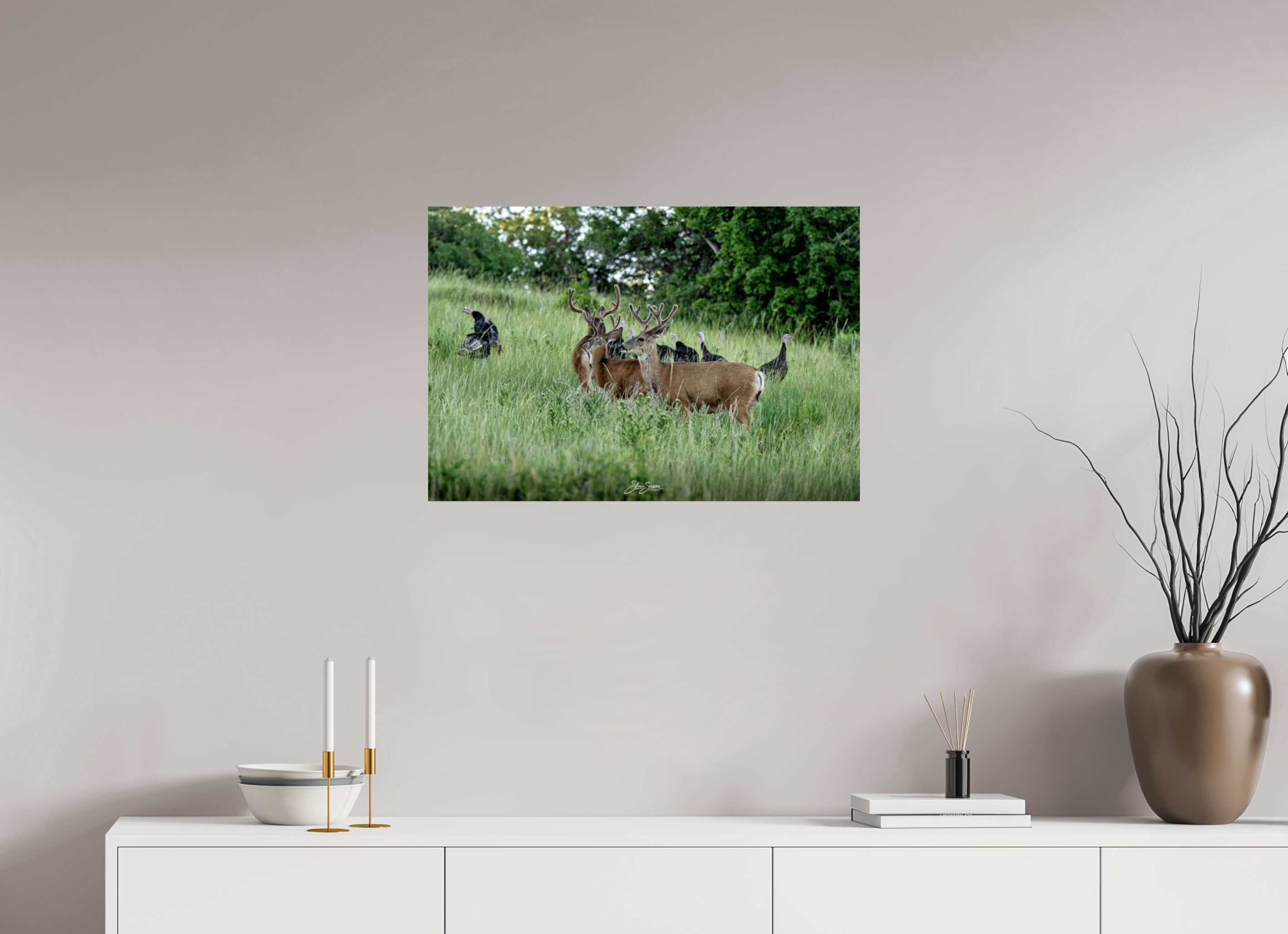 29.3 x 20″, Photo Print On Fuji Crystal DP II Turky Deer
