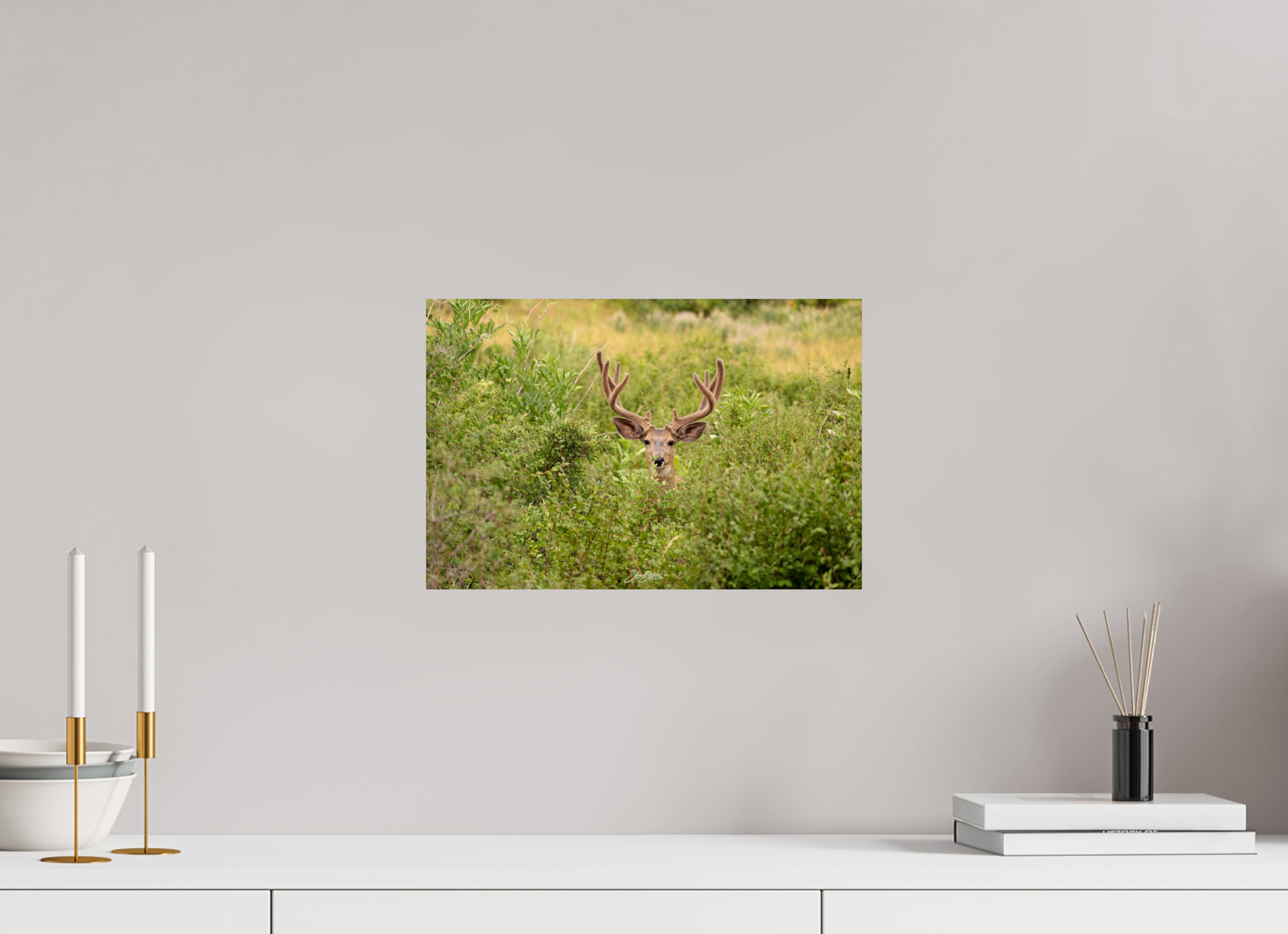 15 x 10″, Metal Deer