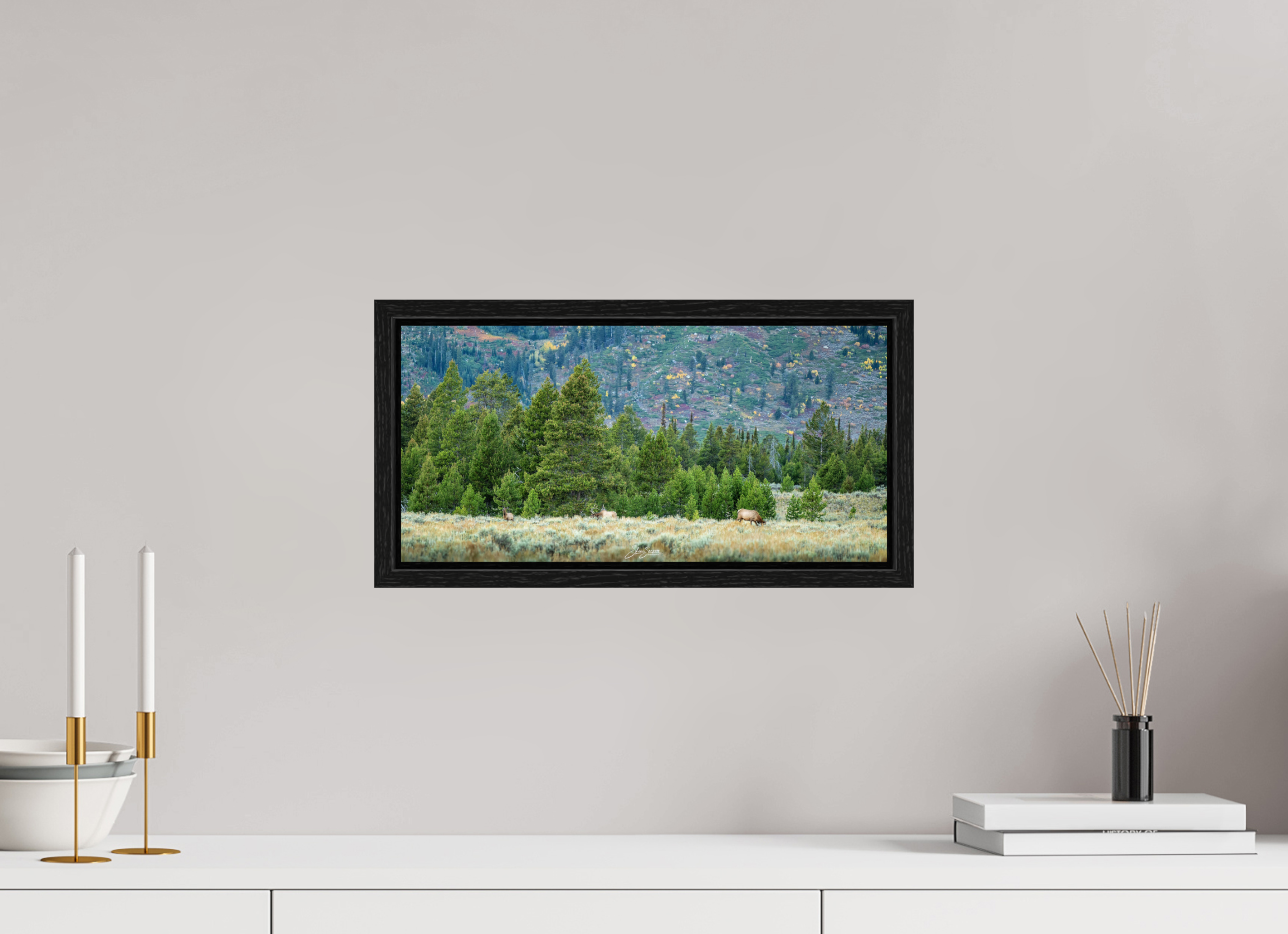 16.5 x 8″, Floater Frame A12