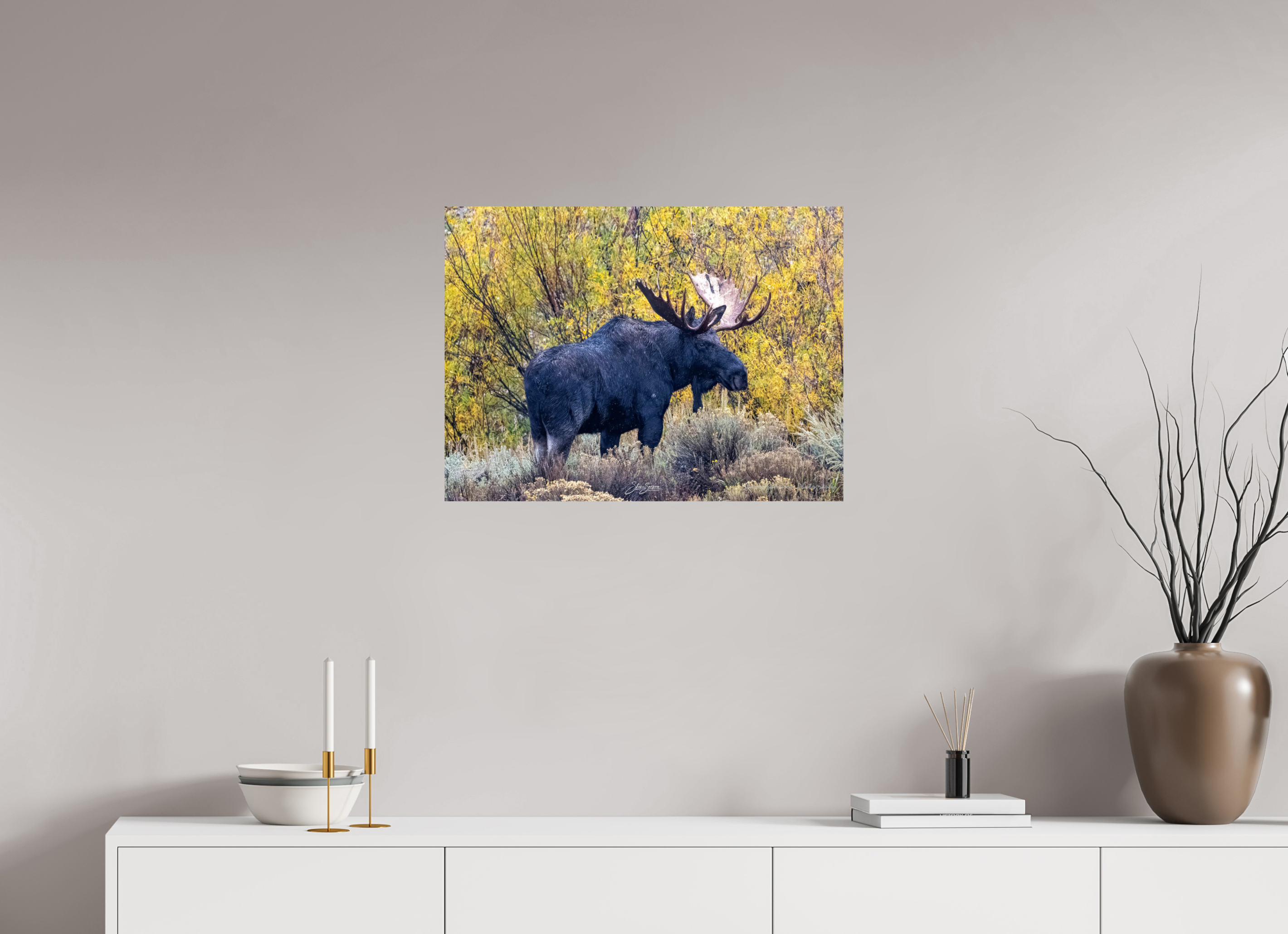 27 x 20″, Photo Print On Fuji Crystal DP II Moose
