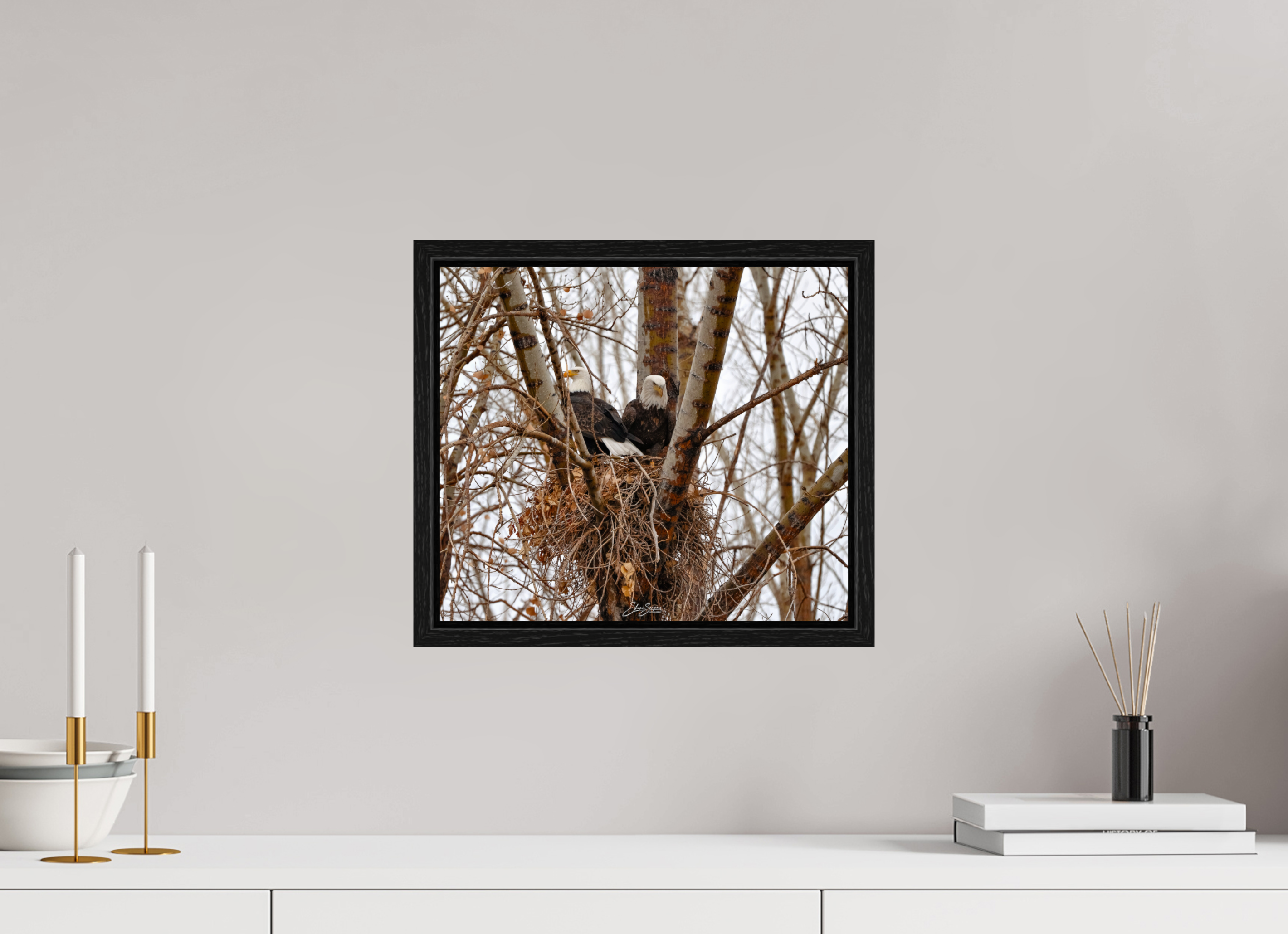 13.8 x 12″, Floater Frame Eagles in the nest