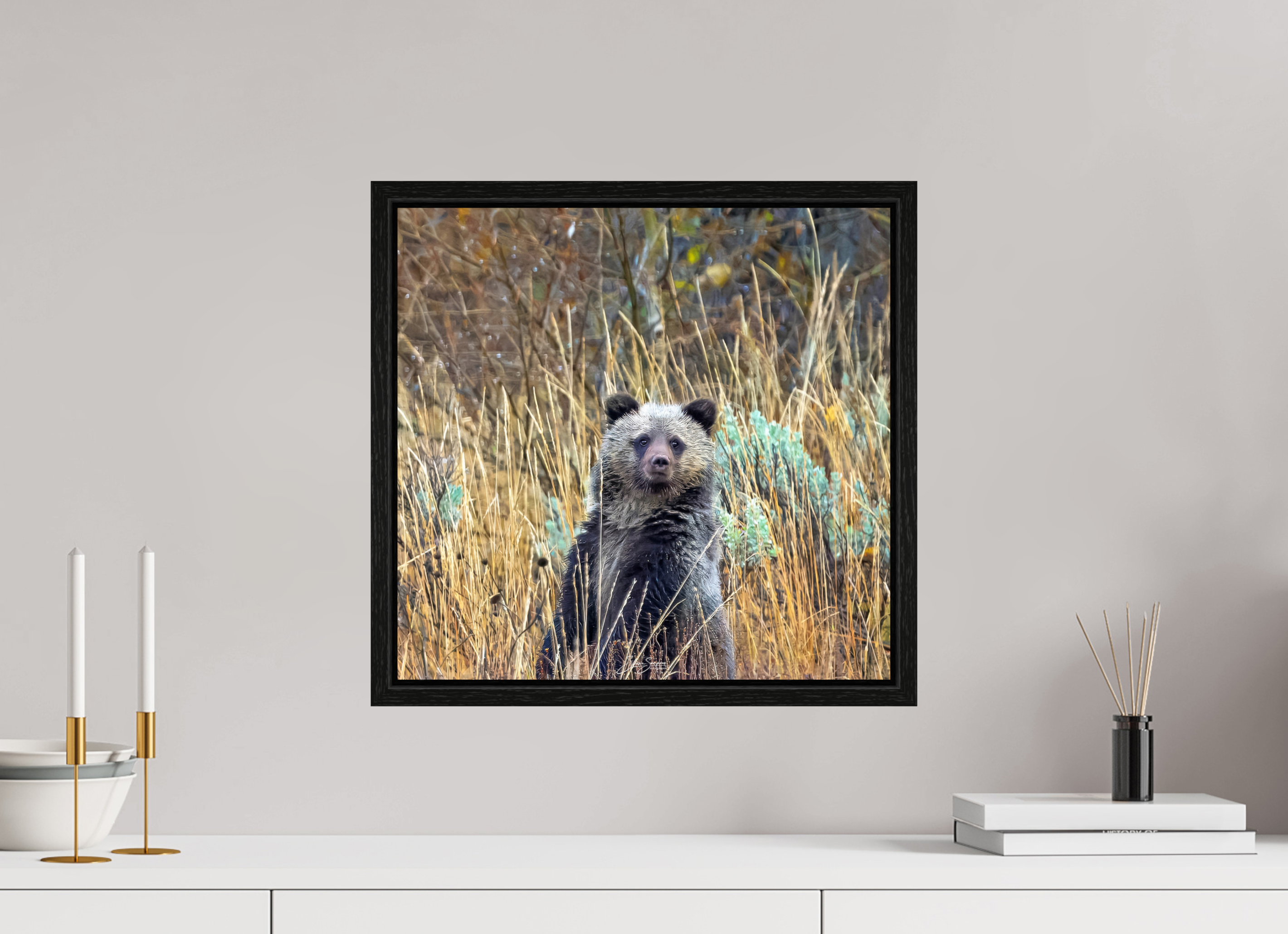 16.7 x 16″, Floater Frame Cube looking for mom