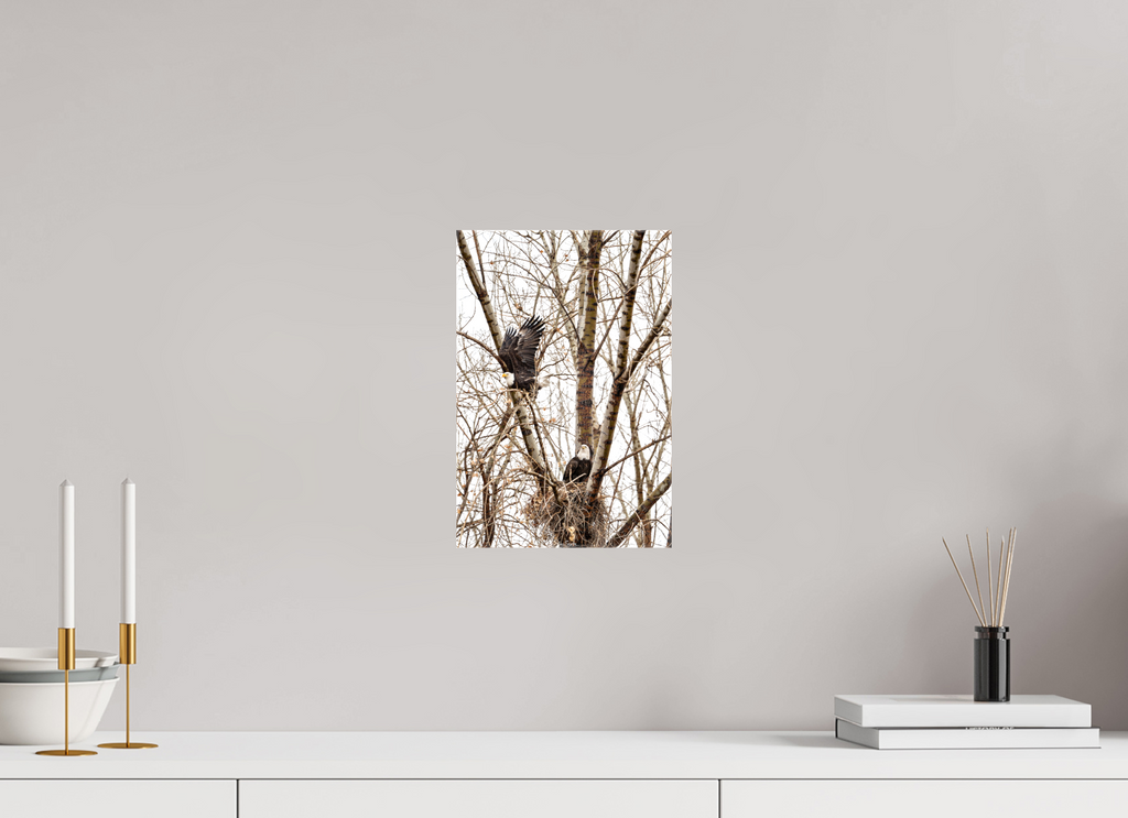 8 x 12″, Canvas Eagles