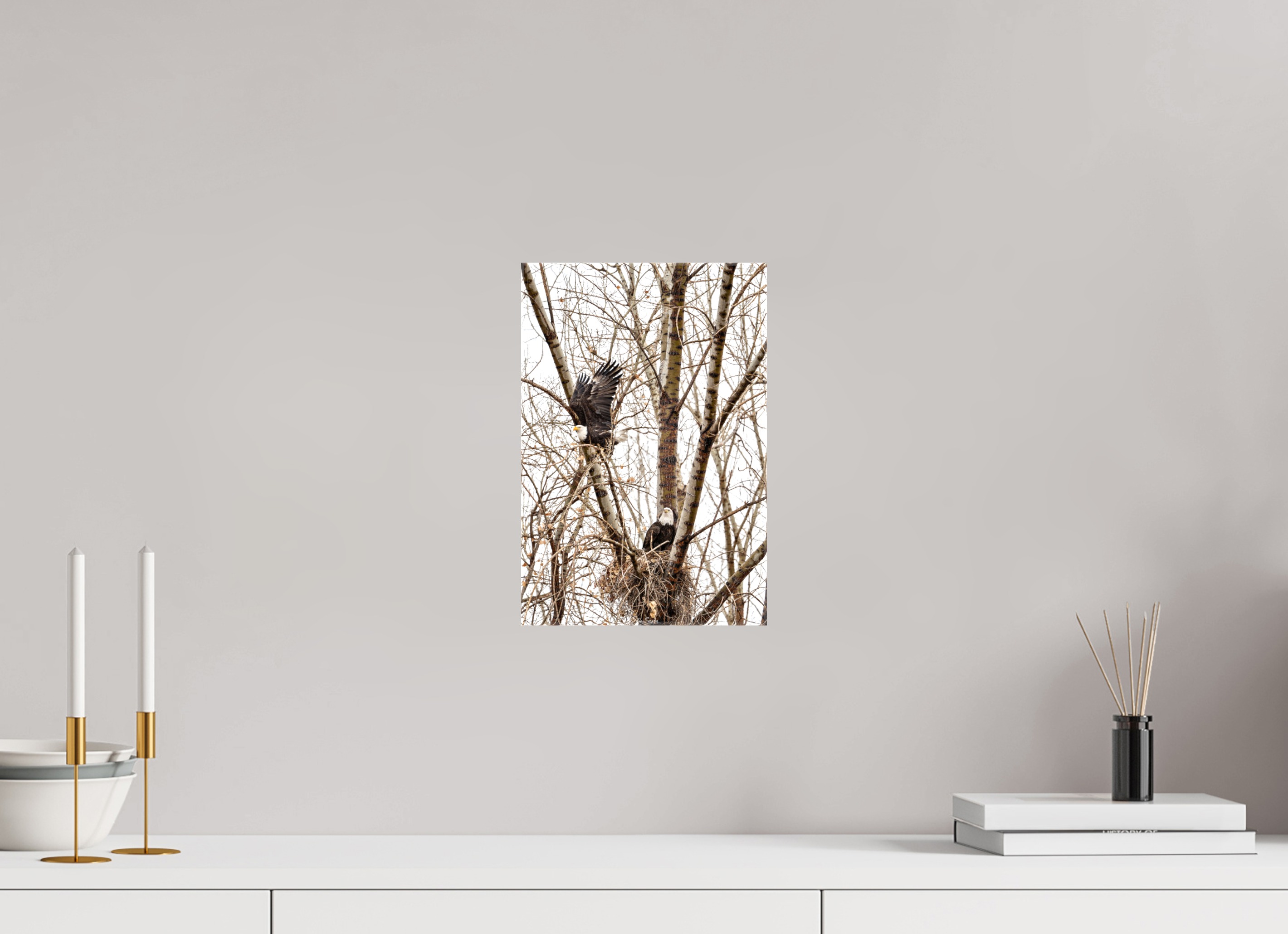 8 x 12″, Canvas Eagles