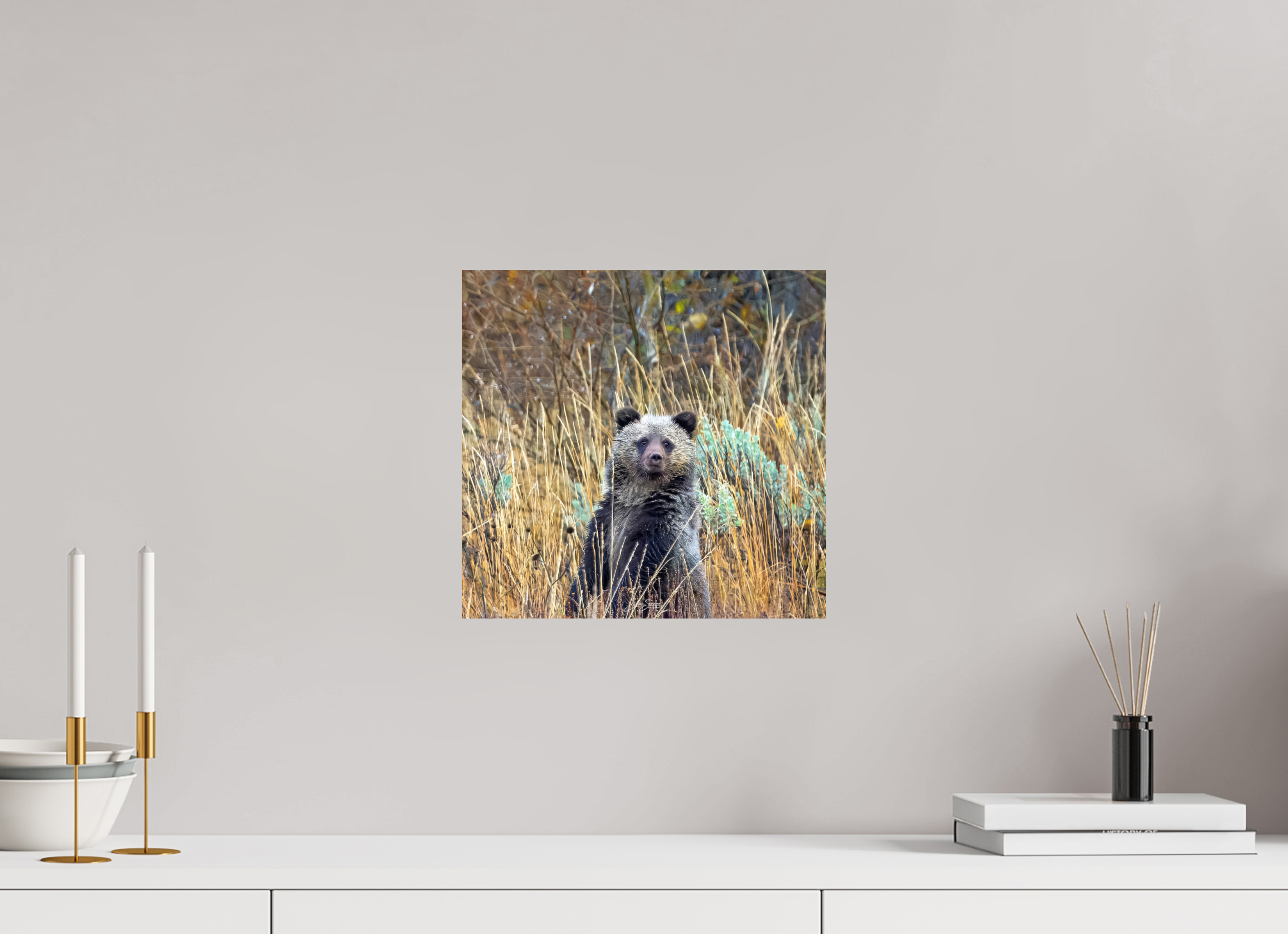 12.5 x 12″, Metal Cube looking for mom