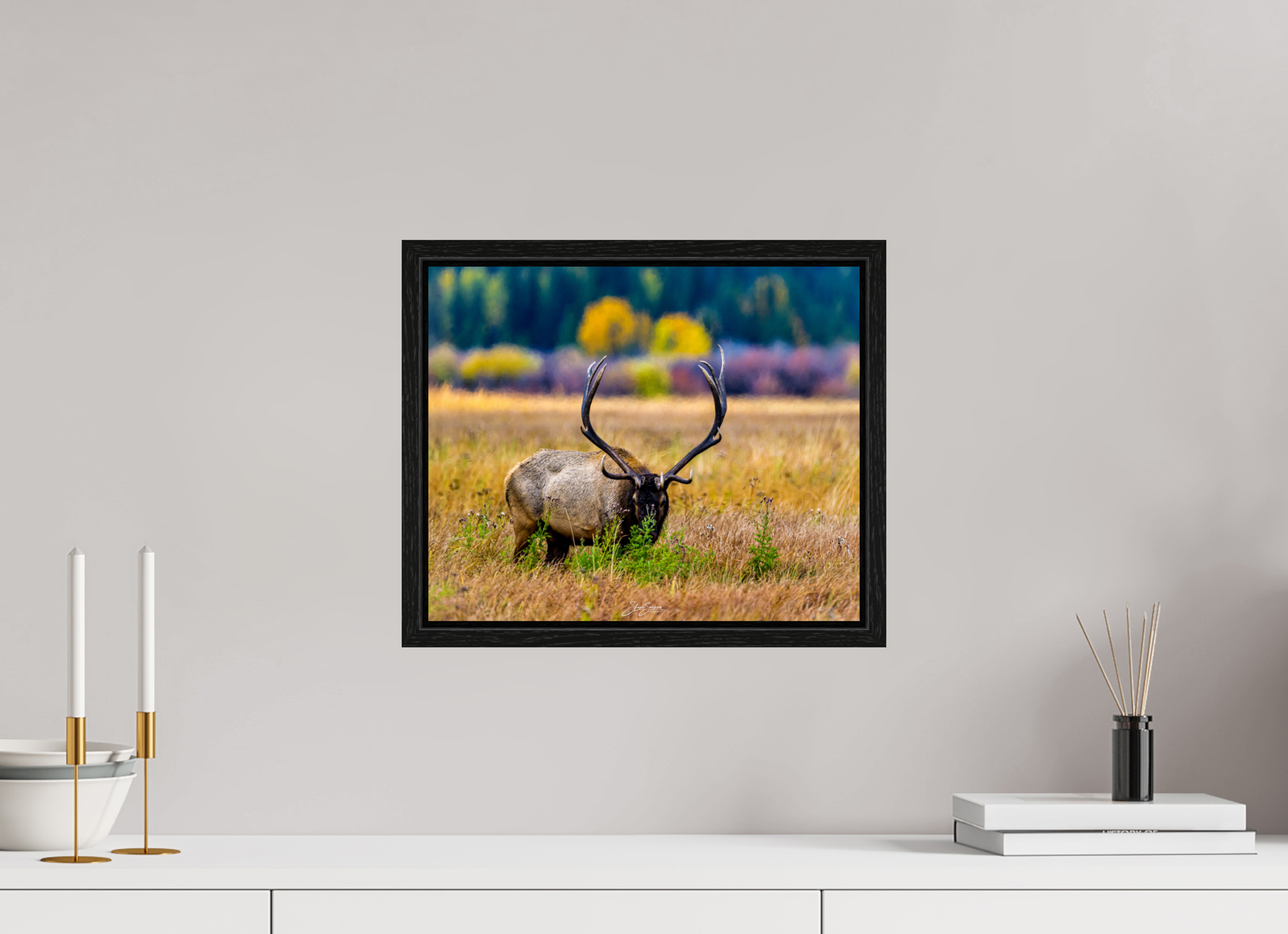 14.6 x 12″, Floater Frame Elk