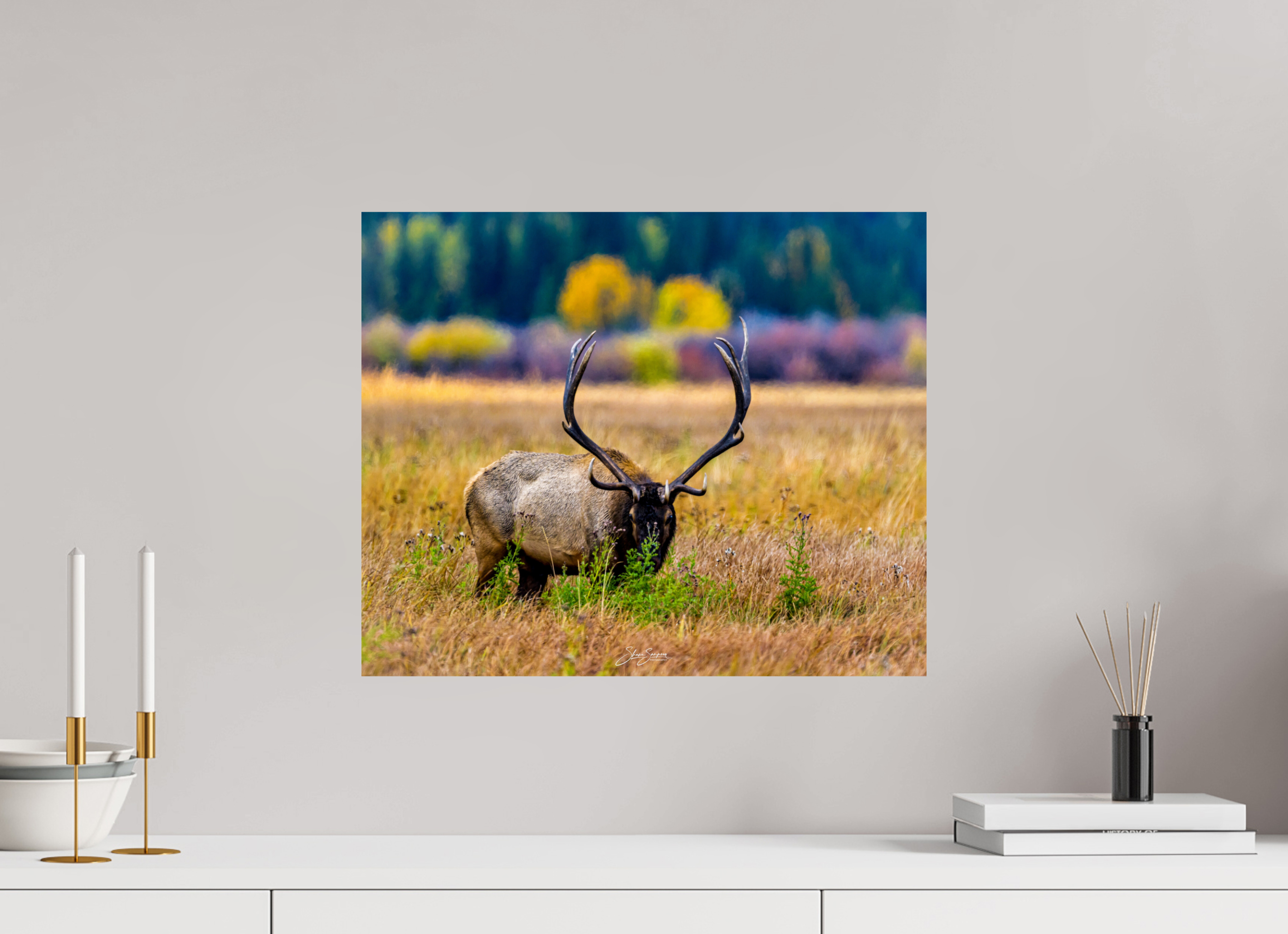 19.4 x 16″, Metal Elk