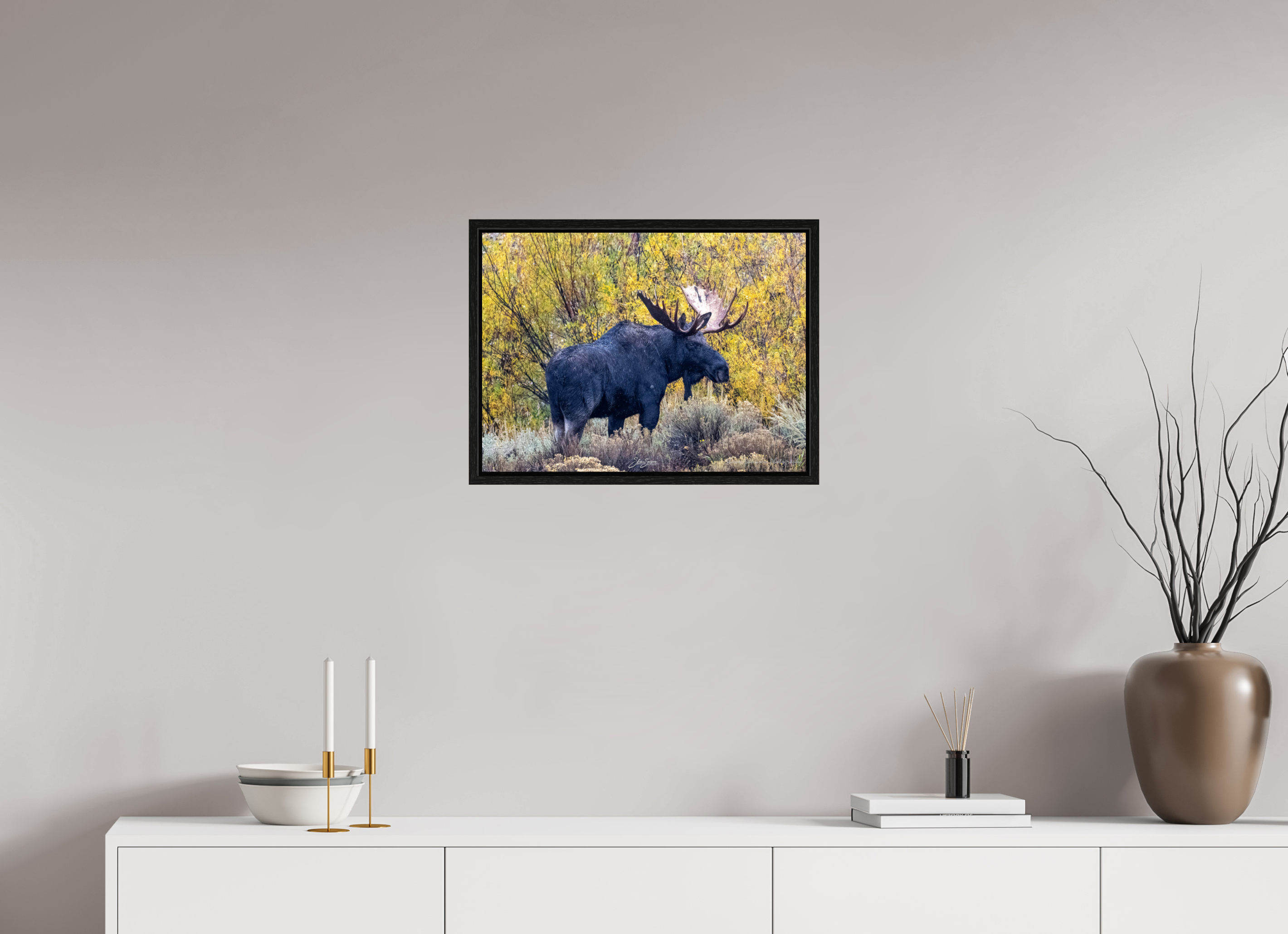 21.7 x 16″, Floater Frame Moose