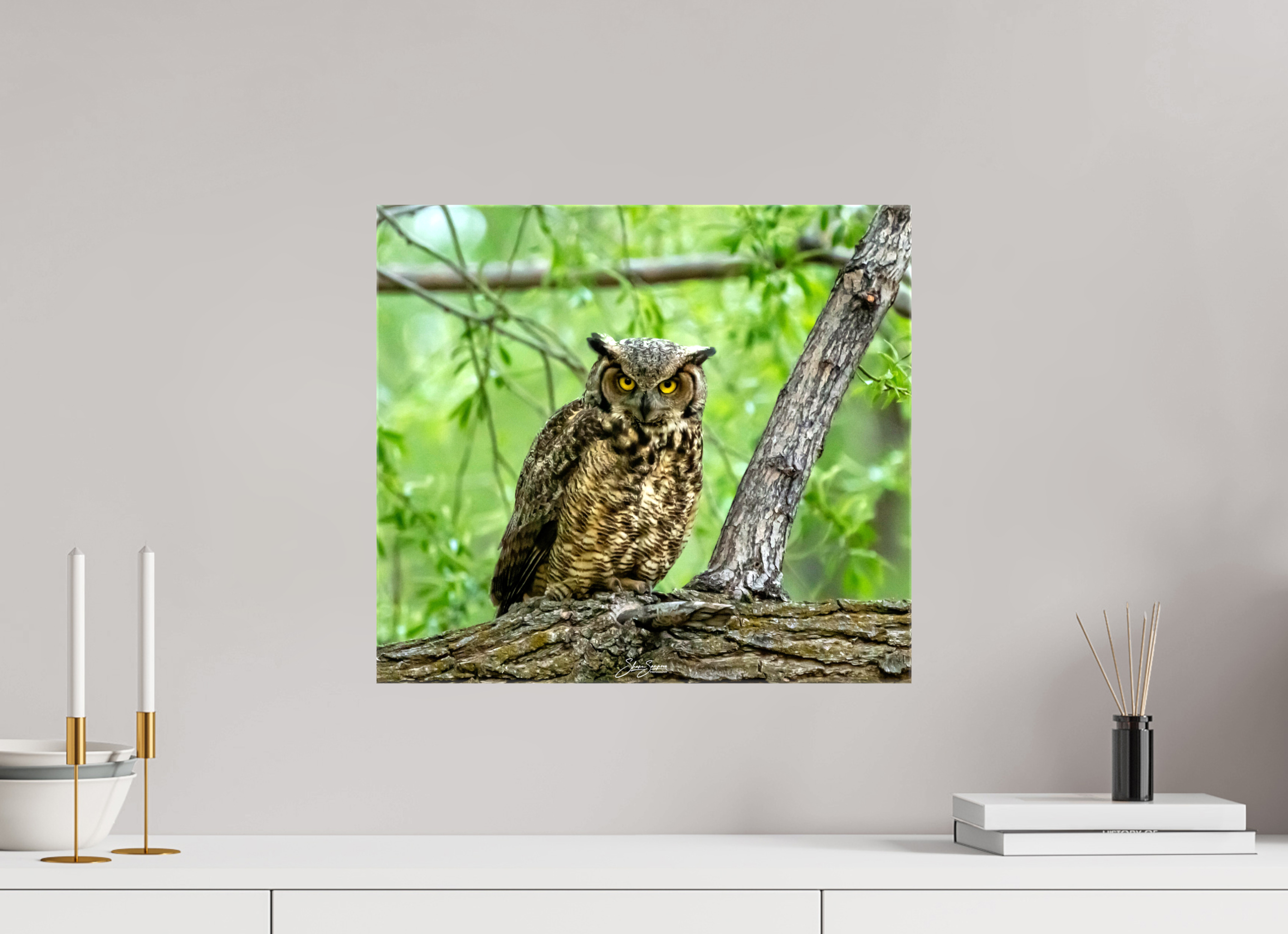 17.9 x 16″, Canvas Owel