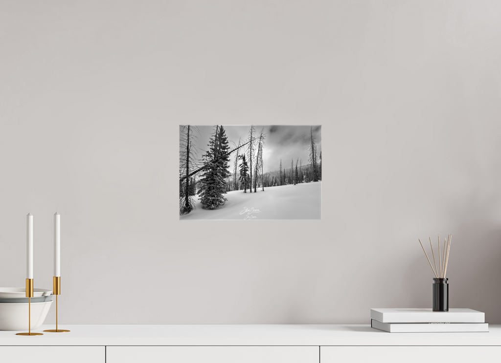 12.1 x 8″, Canvas winter bw