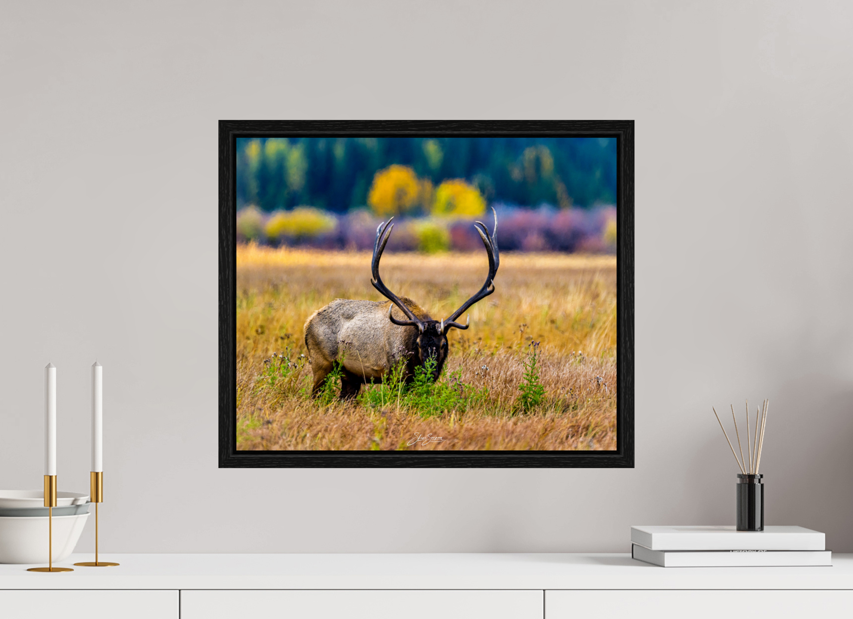 19.4 x 16″, Floater Frame Elk