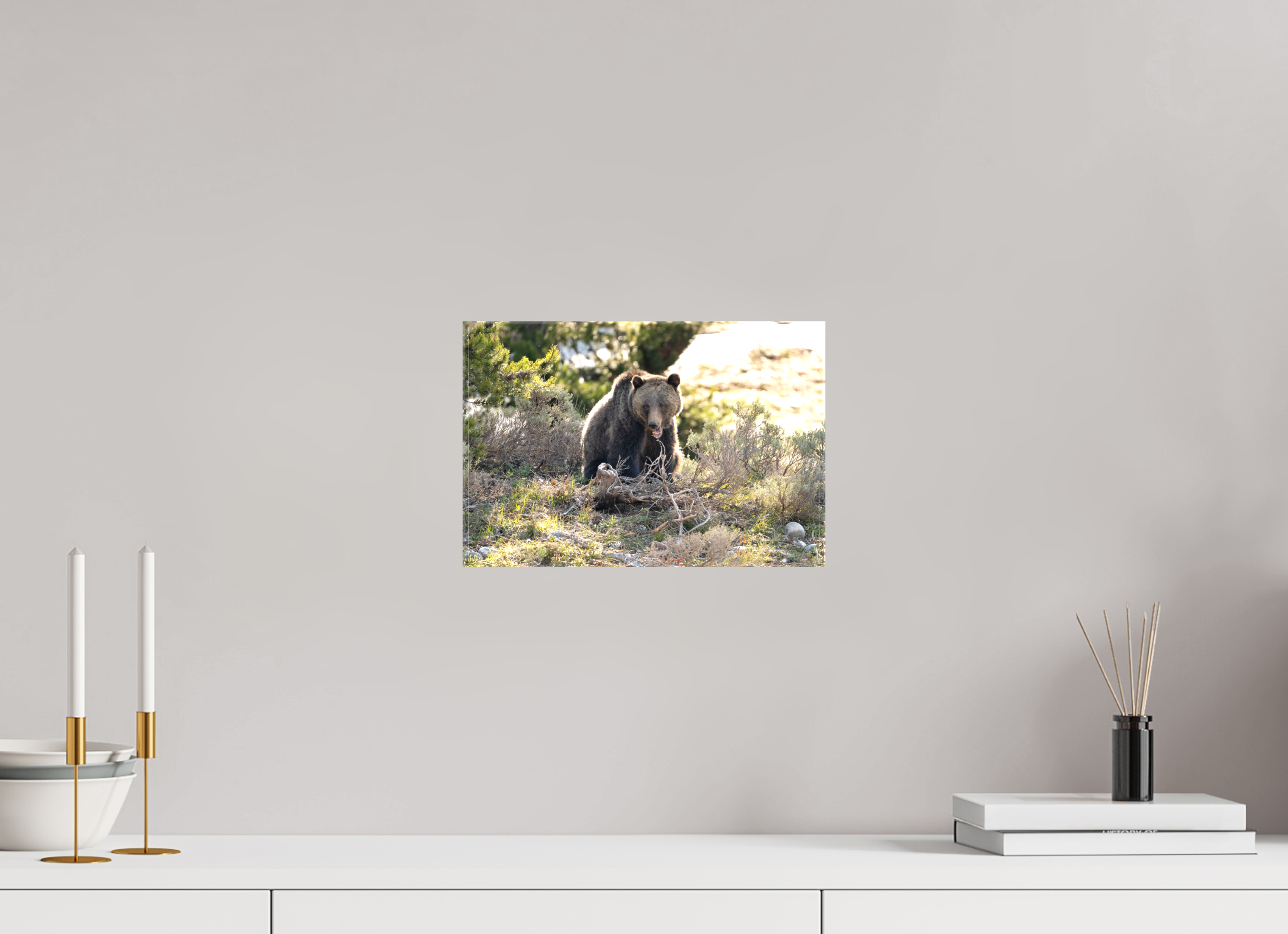 12 x 8″, Canvas 1063