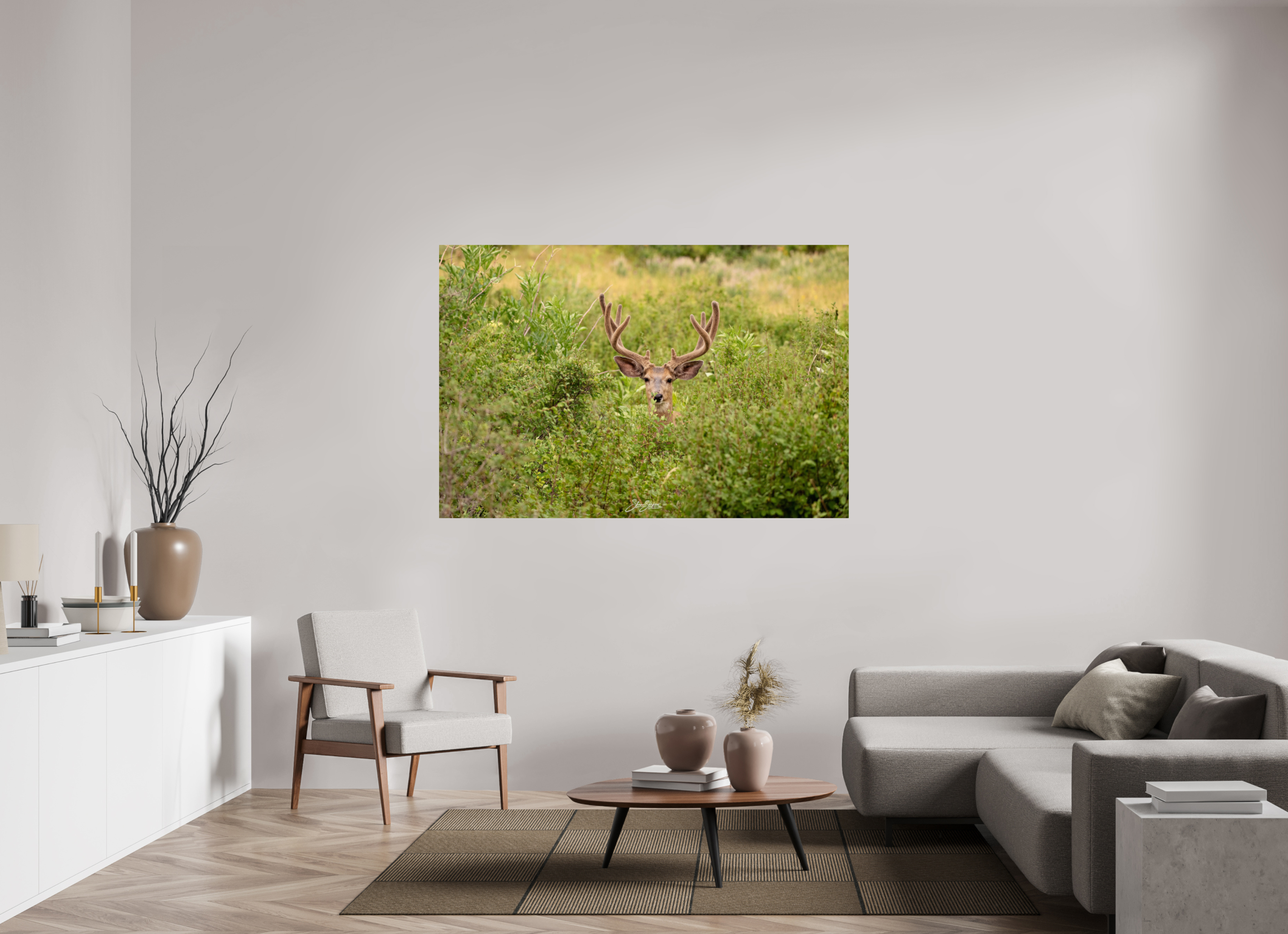 66 x 44″, Photo Print On Fuji Crystal DP II Deer