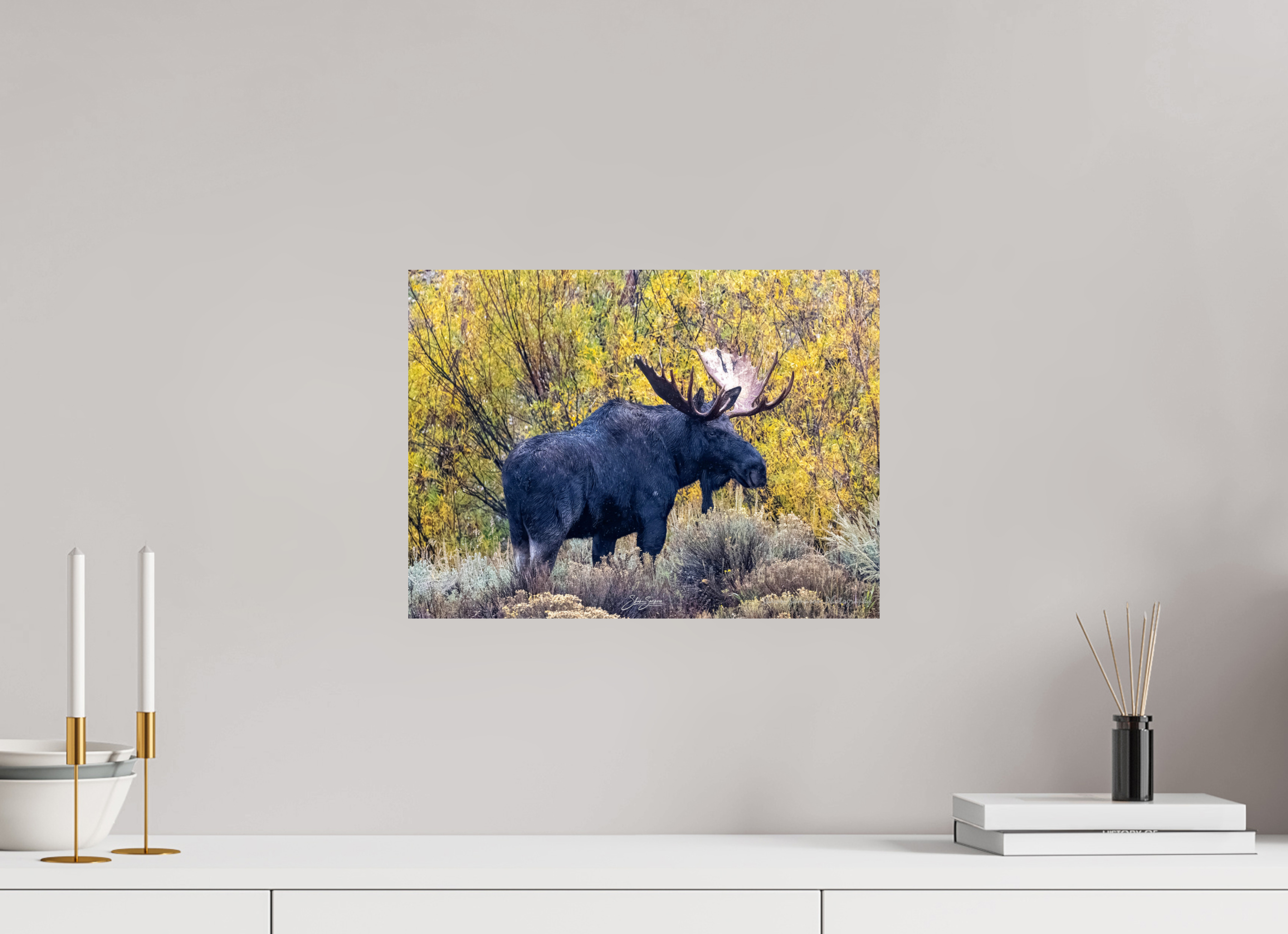 16.2 x 12″, Metal Moose
