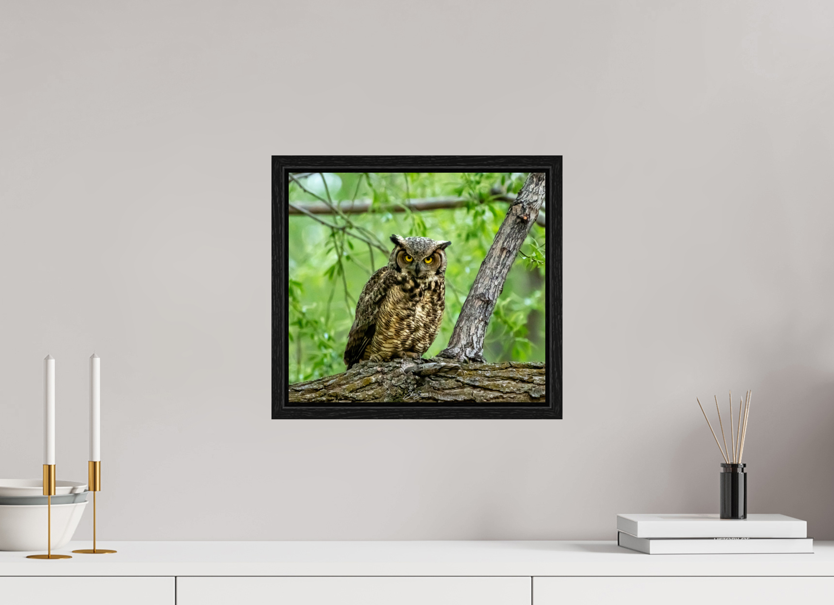 13.4 x 12″, Floater Frame Owel