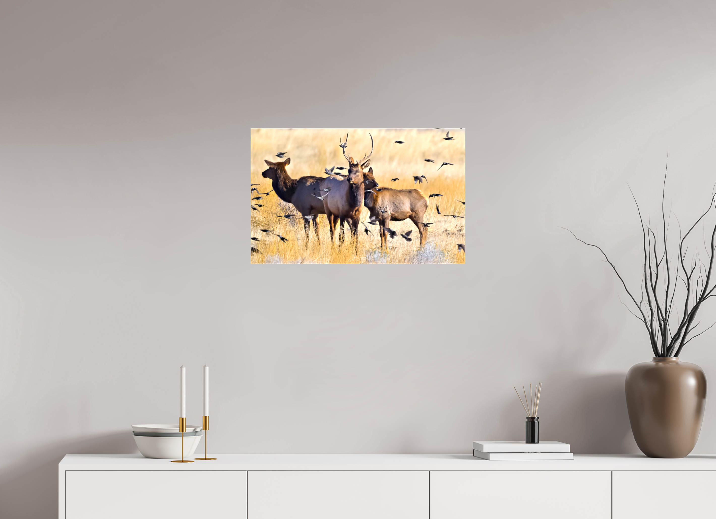 25.6 x 16″, Canvas Elk Birds