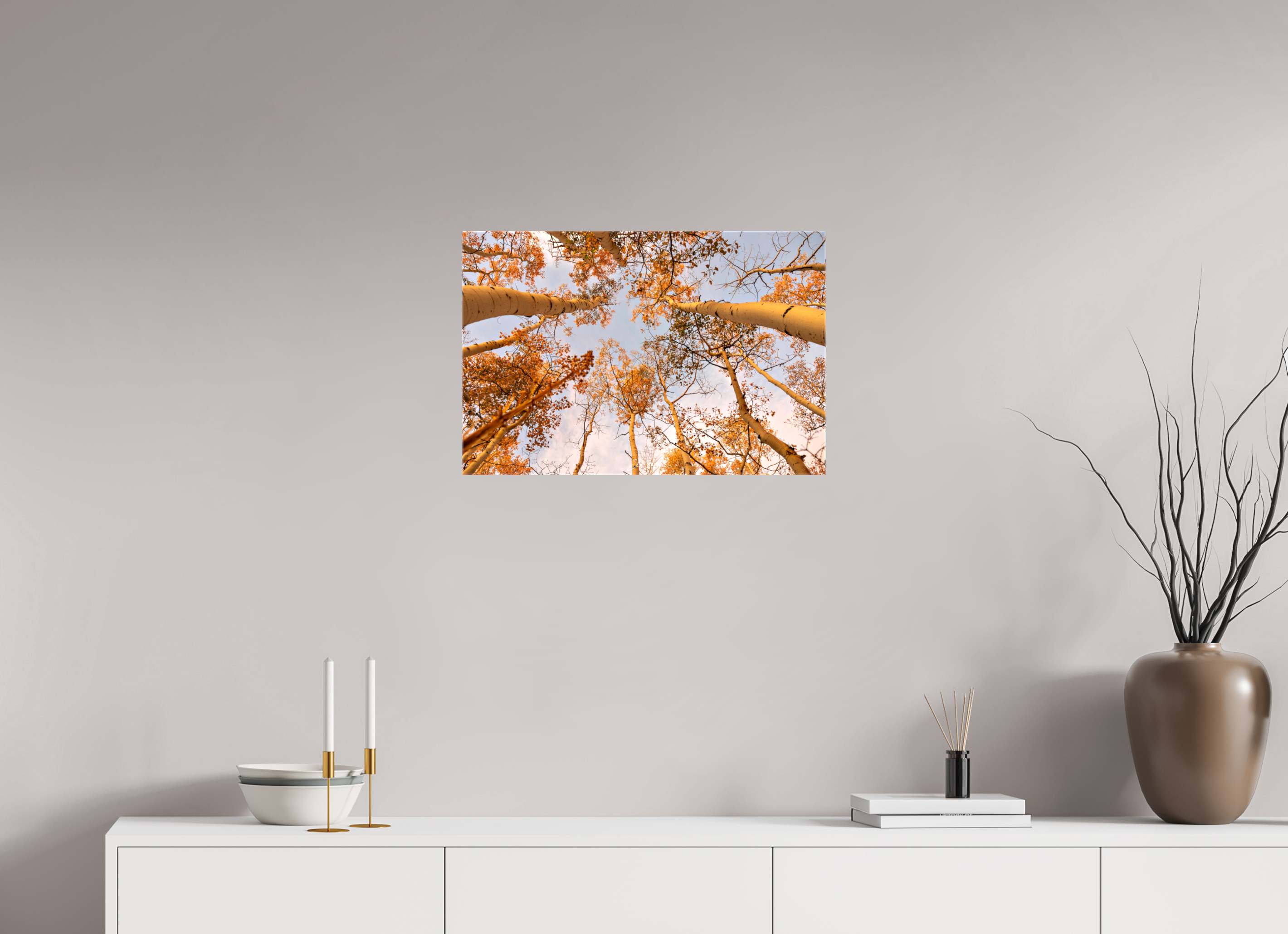 24 x 16″, Canvas aspen