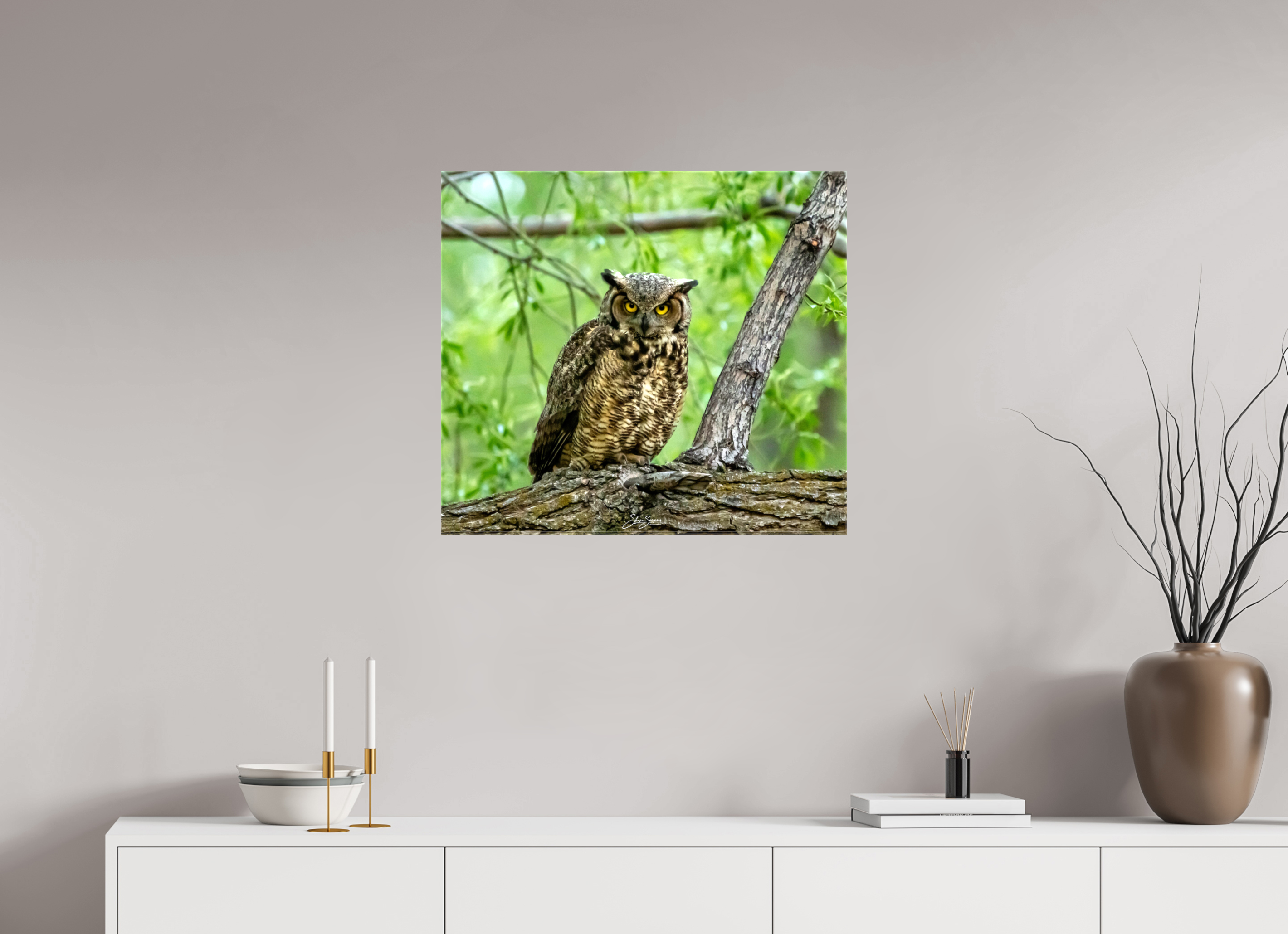 26.9 x 24″, Canvas Owel