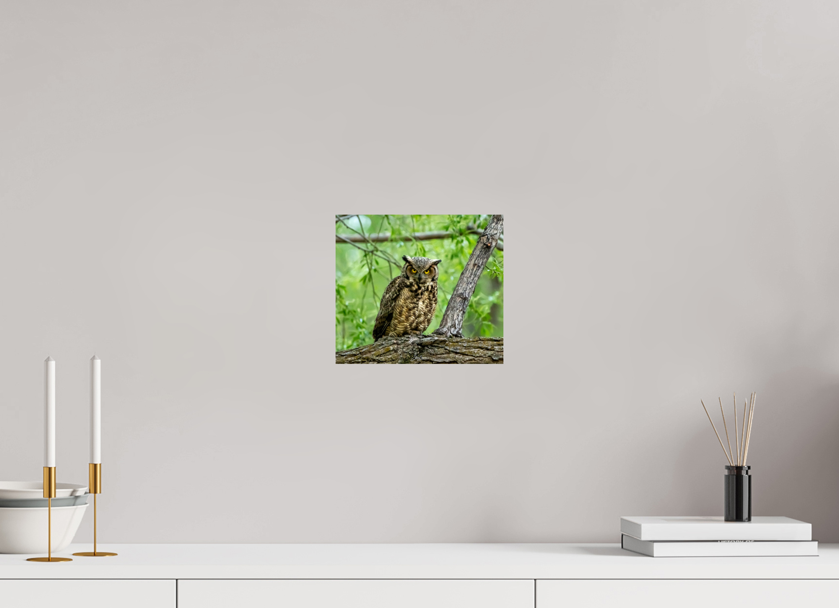 9 x 8″, Photo Print On Fuji Crystal DP II Owel