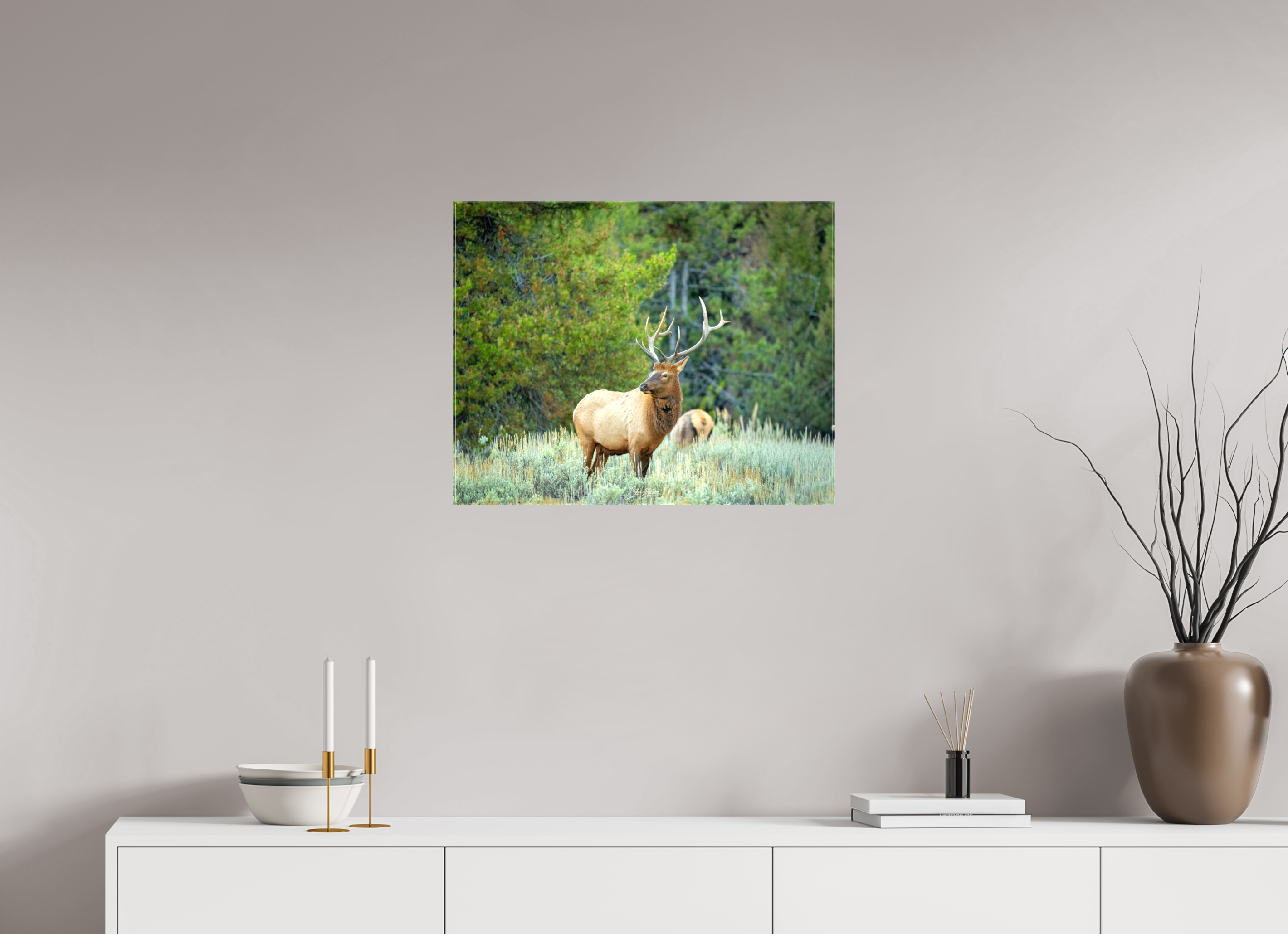 25.3 x 20″, Canvas Elk