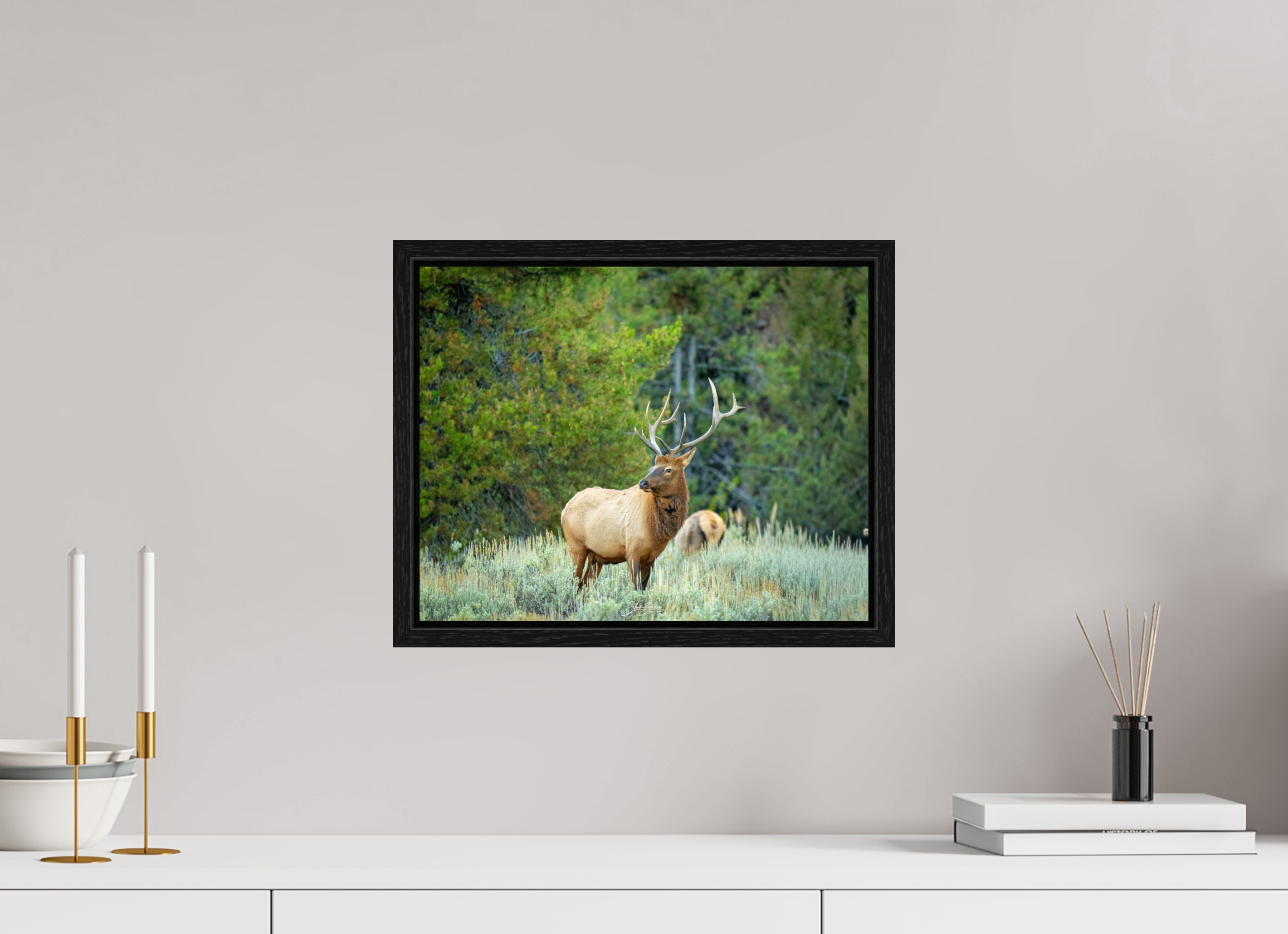 15.2 x 12″, Floater Frame Elk