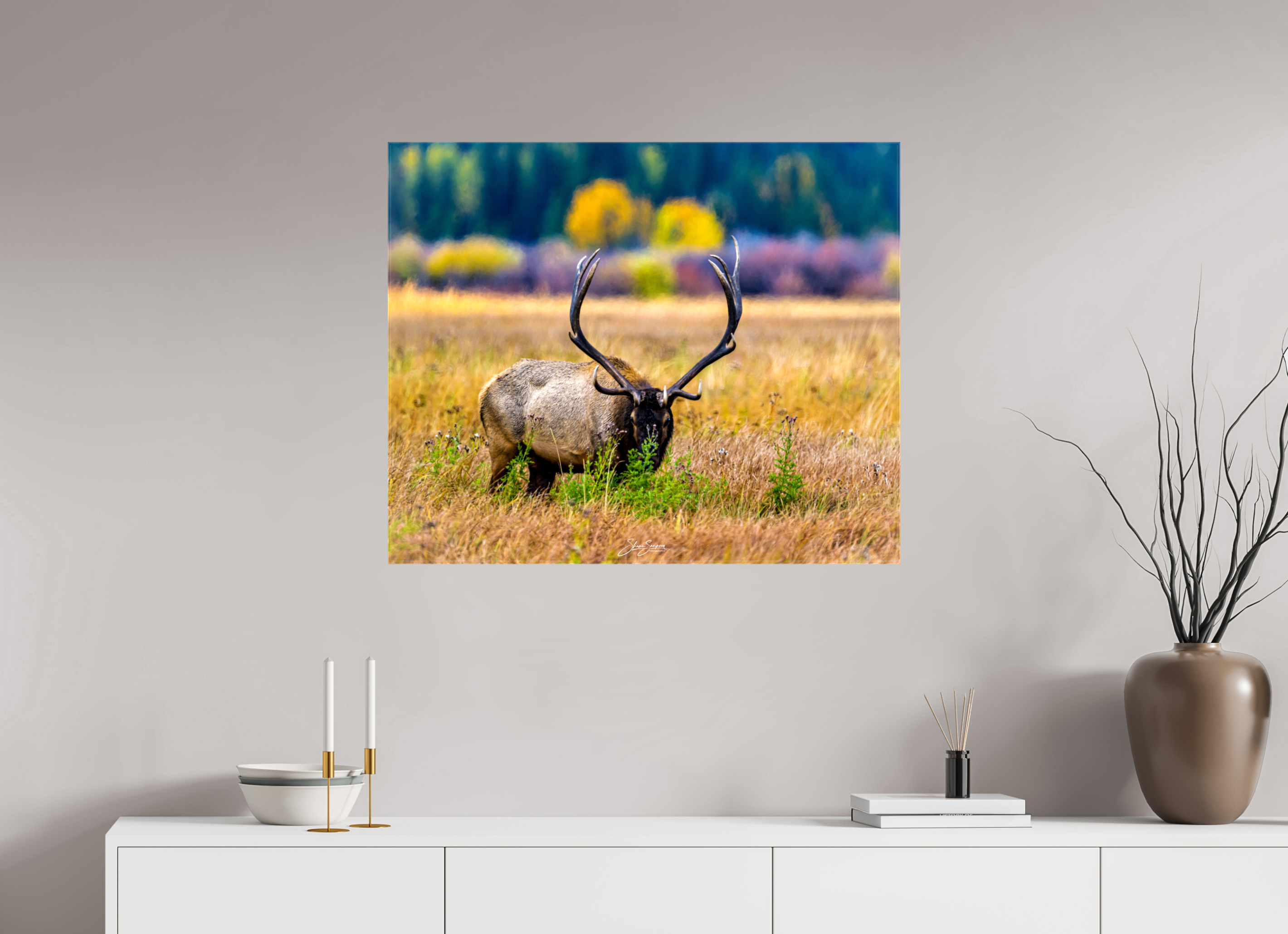 34.1 x 28″, Canvas Elk