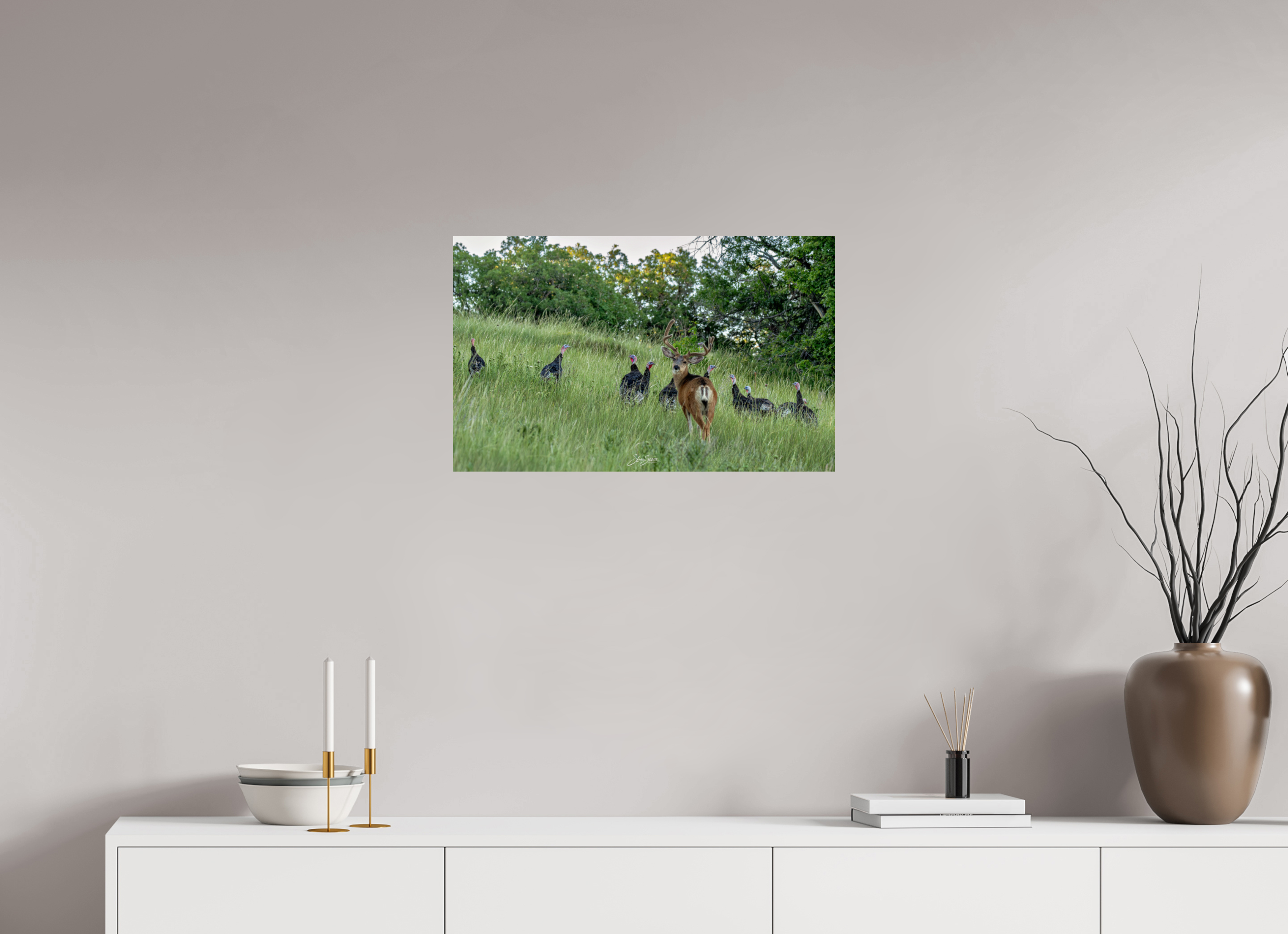 25.9 x 16″, Photo Print On Fuji Crystal DP II Deer Turky 3