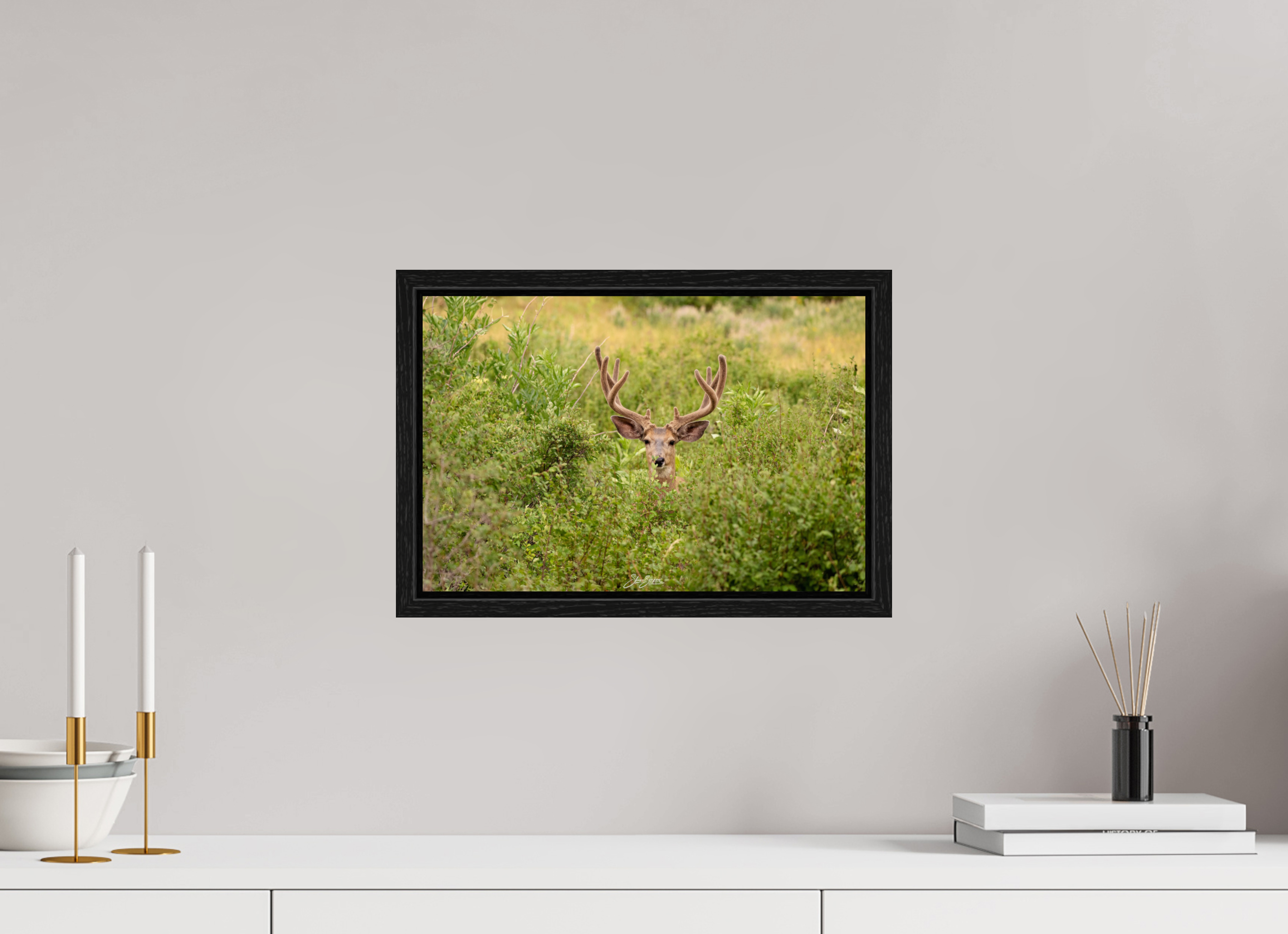 15 x 10″, Floater Frame Deer
