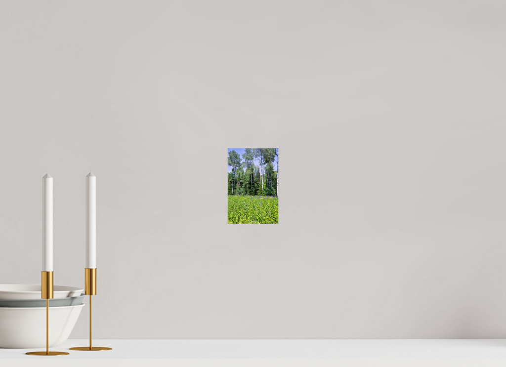 4 x 6″, Photo Print On Fuji Crystal DP II A52