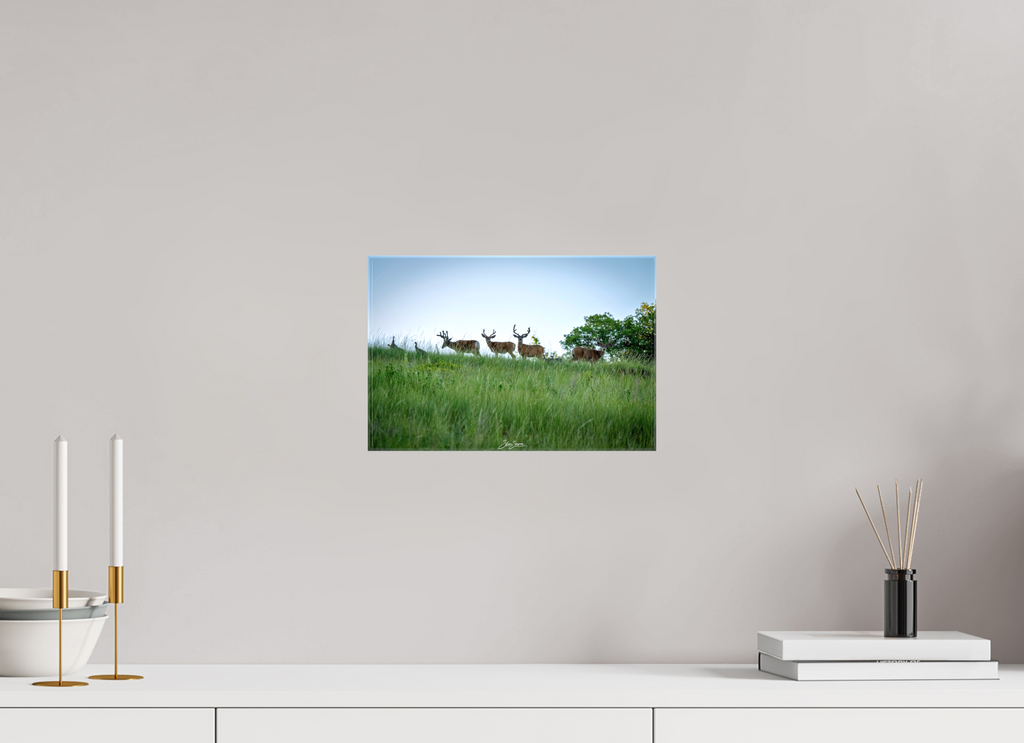 12 x 8″, Canvas Deer