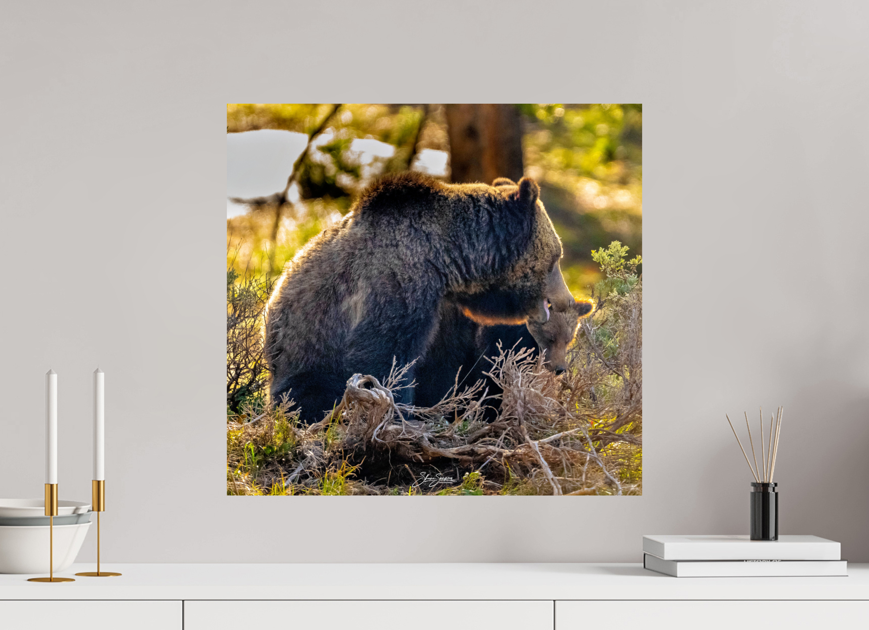 21.2 x 20″, Metal 1063 and cub