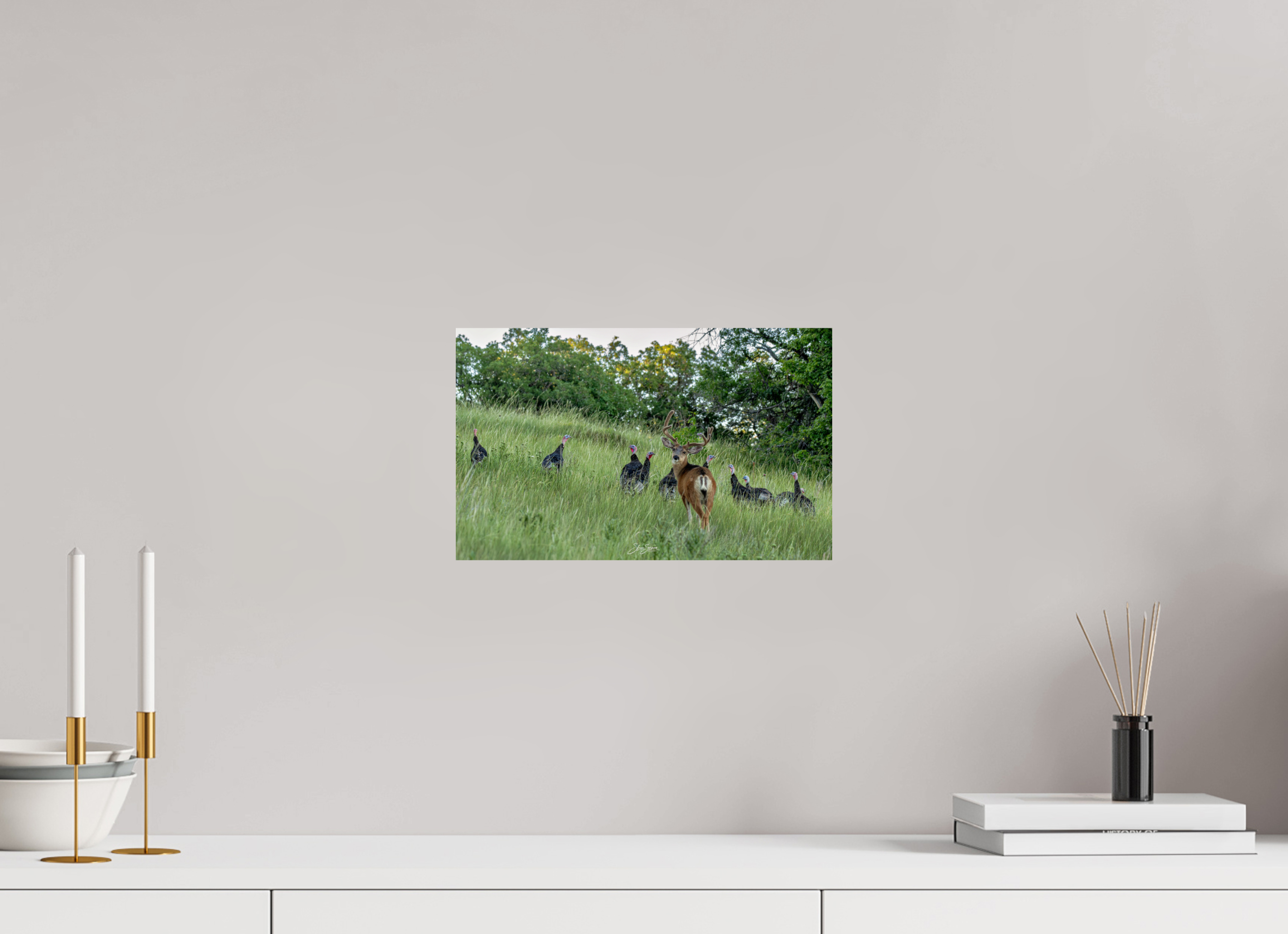 13 x 8″, Metal Deer Turky 3