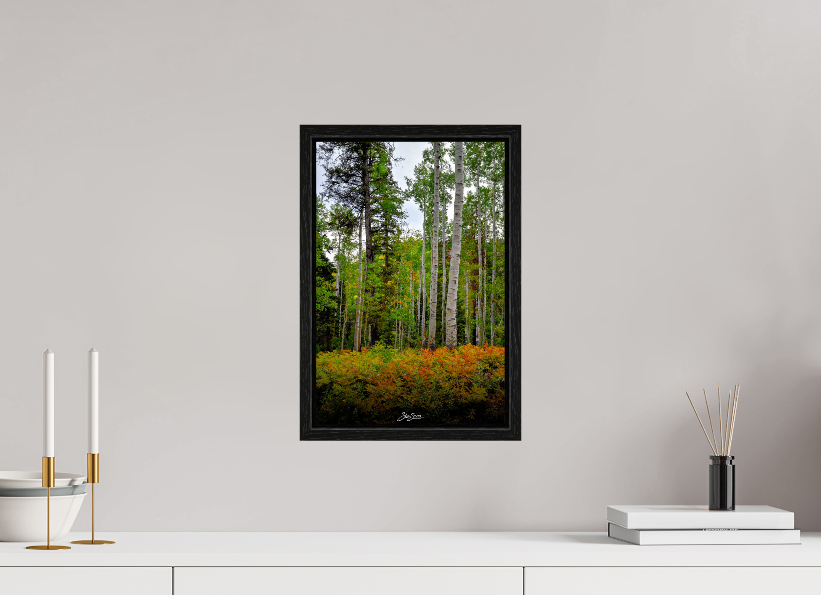 10 x 15″, Floater Frame aspen