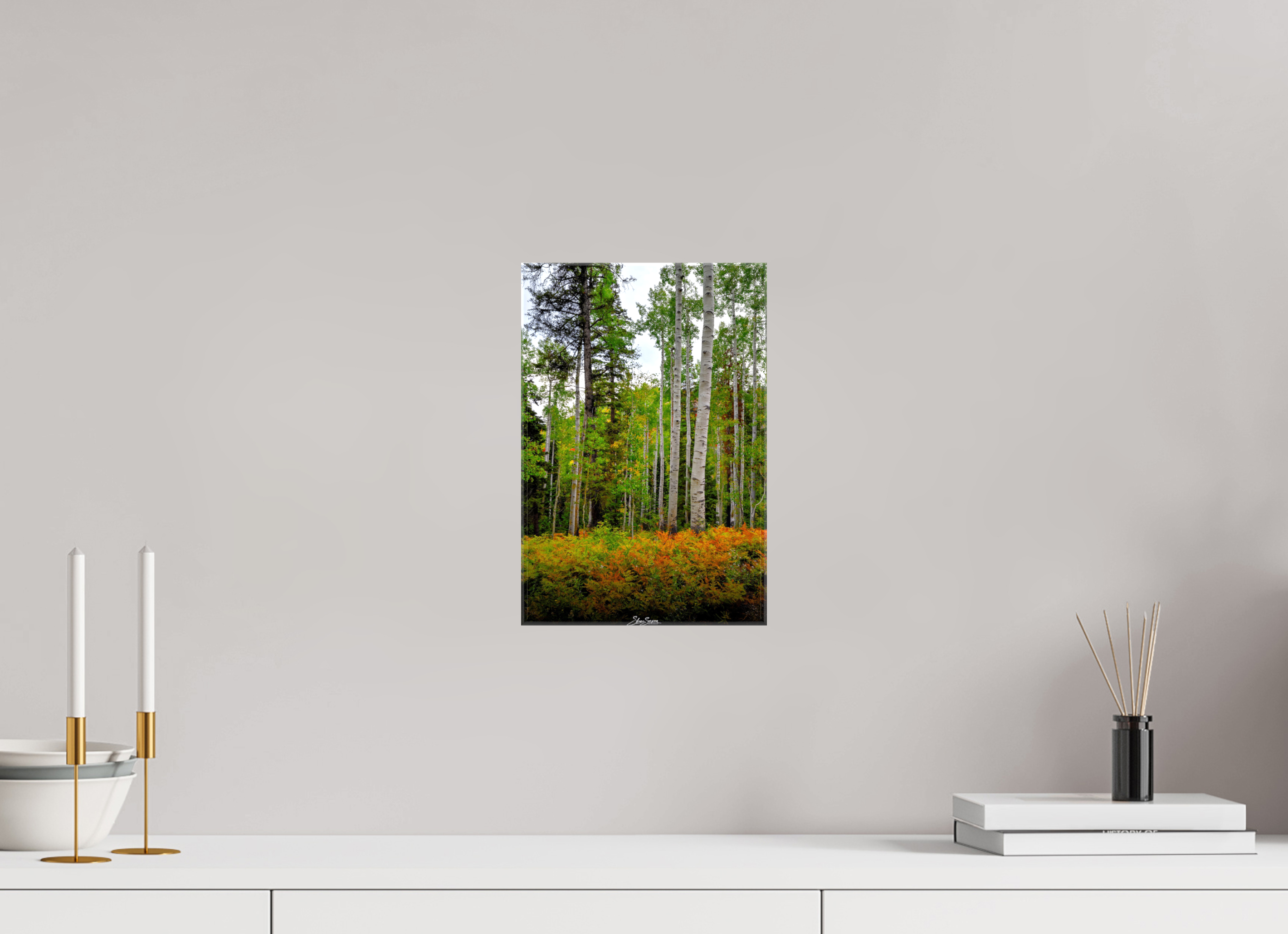 8 x 12″, Canvas aspen