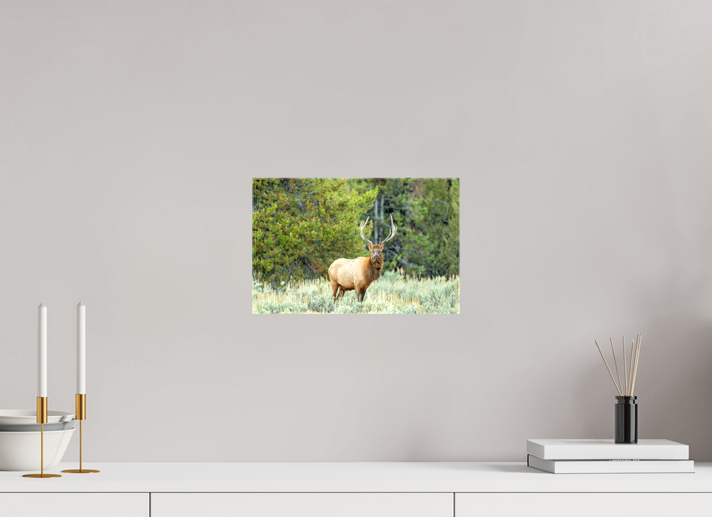 12.4 x 8″, Canvas Elk