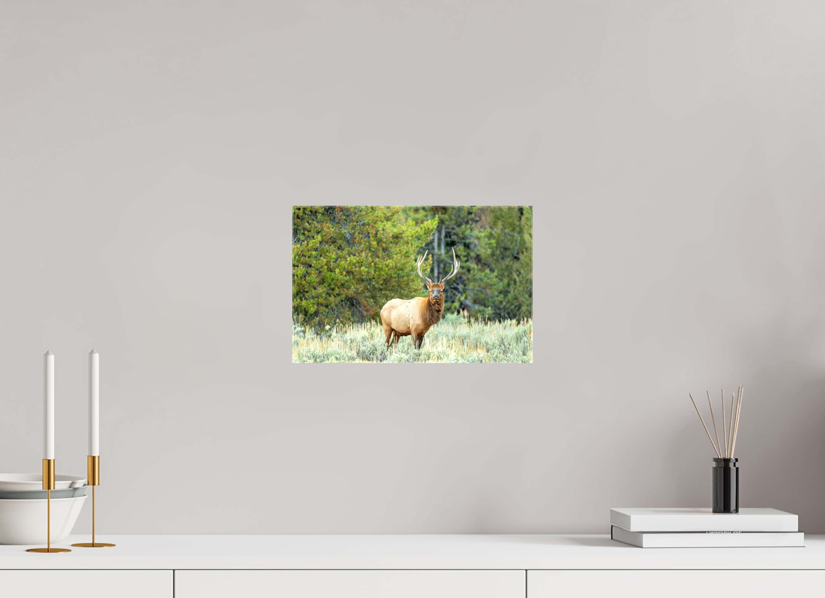 12.4 x 8″, Canvas Elk