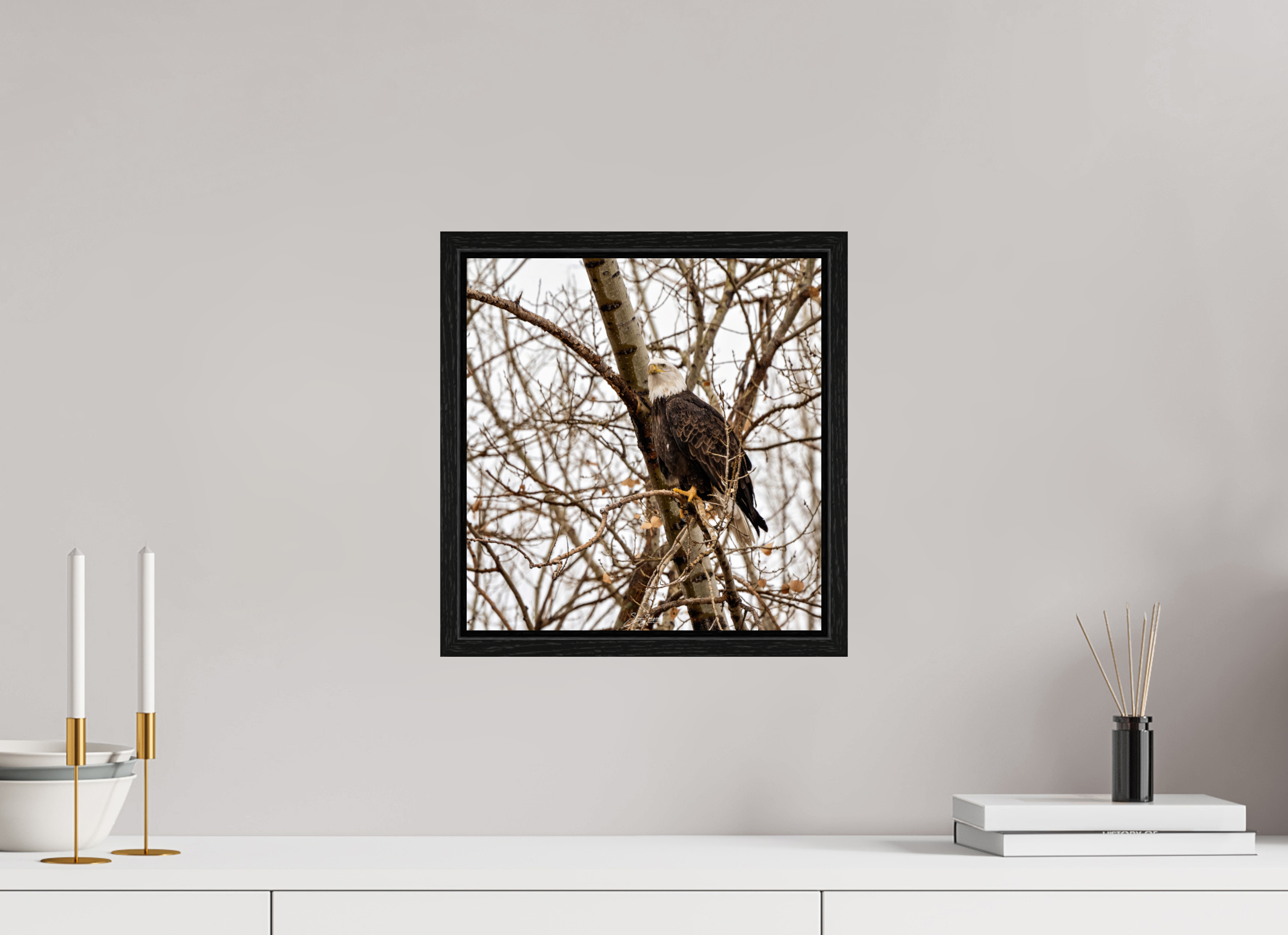 12 x 12.6″, Floater Frame Eagle