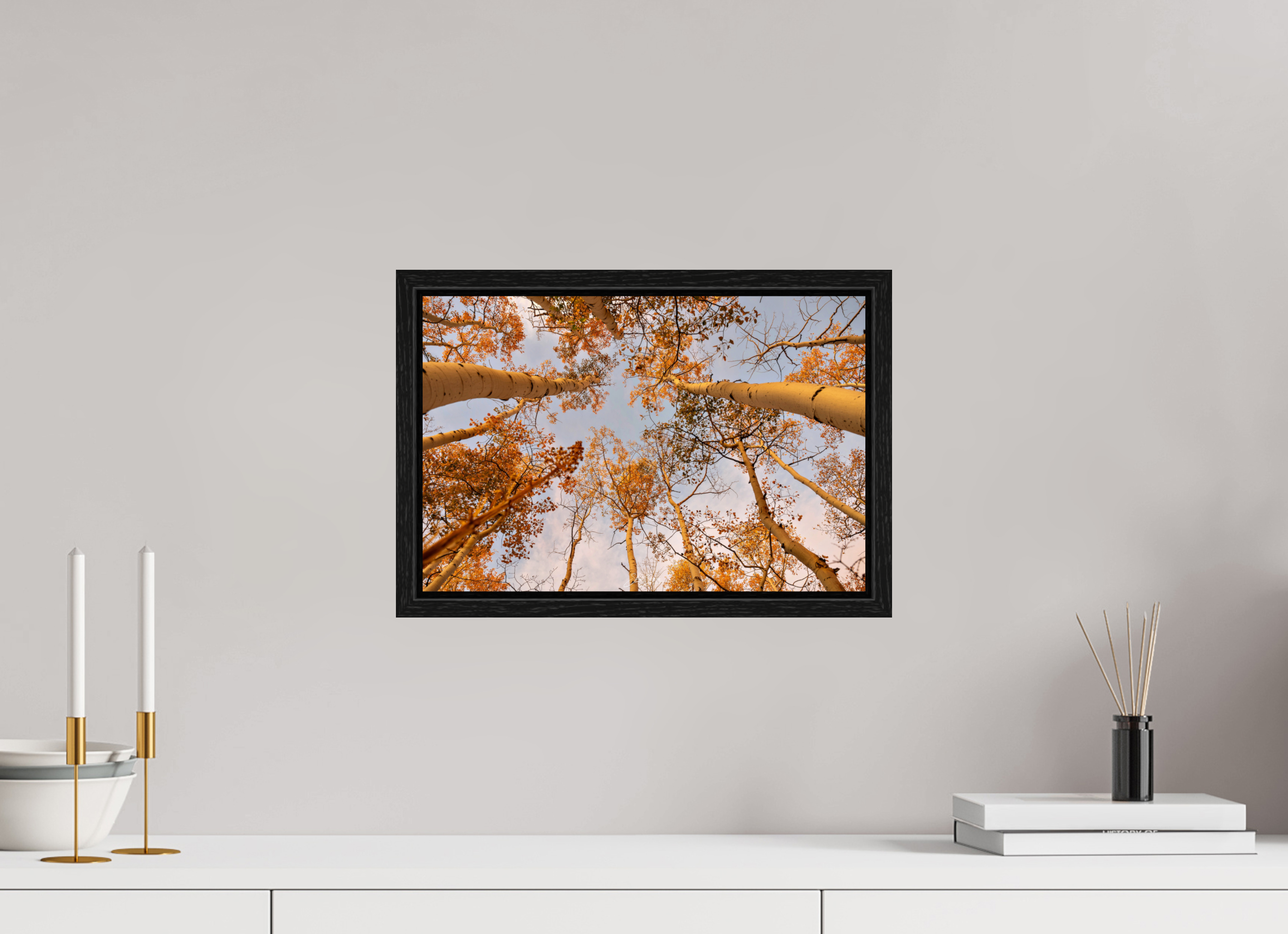 15 x 10″, Floater Frame aspen