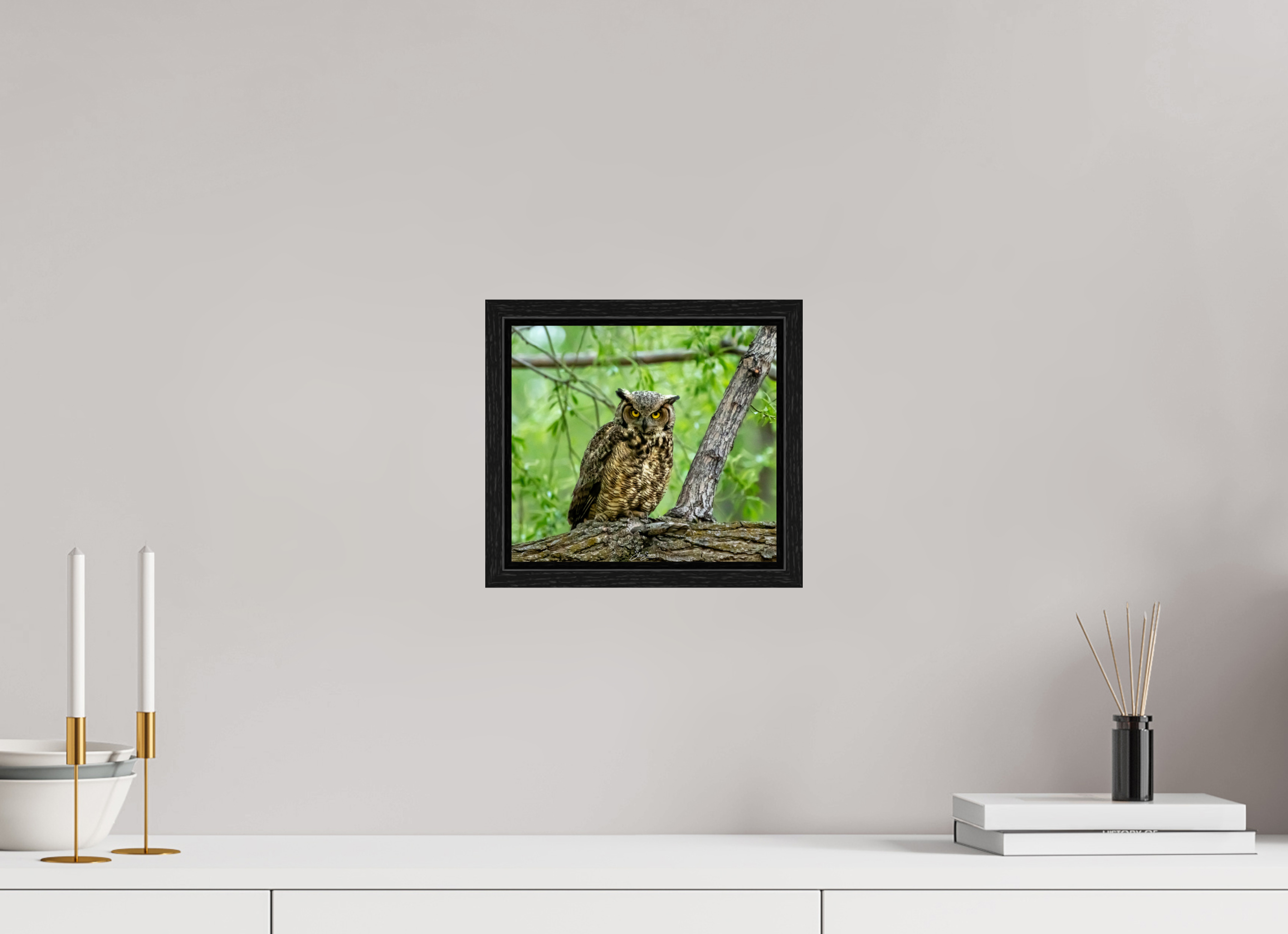 9 x 8″, Floater Frame Owel